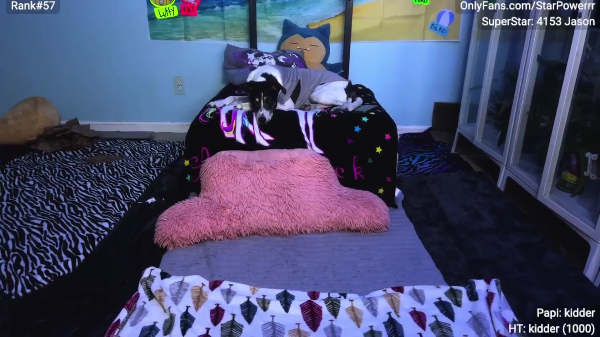 Gallery image thumbnail from StarPowerrr's myfreecams stream on, 07/15/2025, 07:55 image 11 of 20