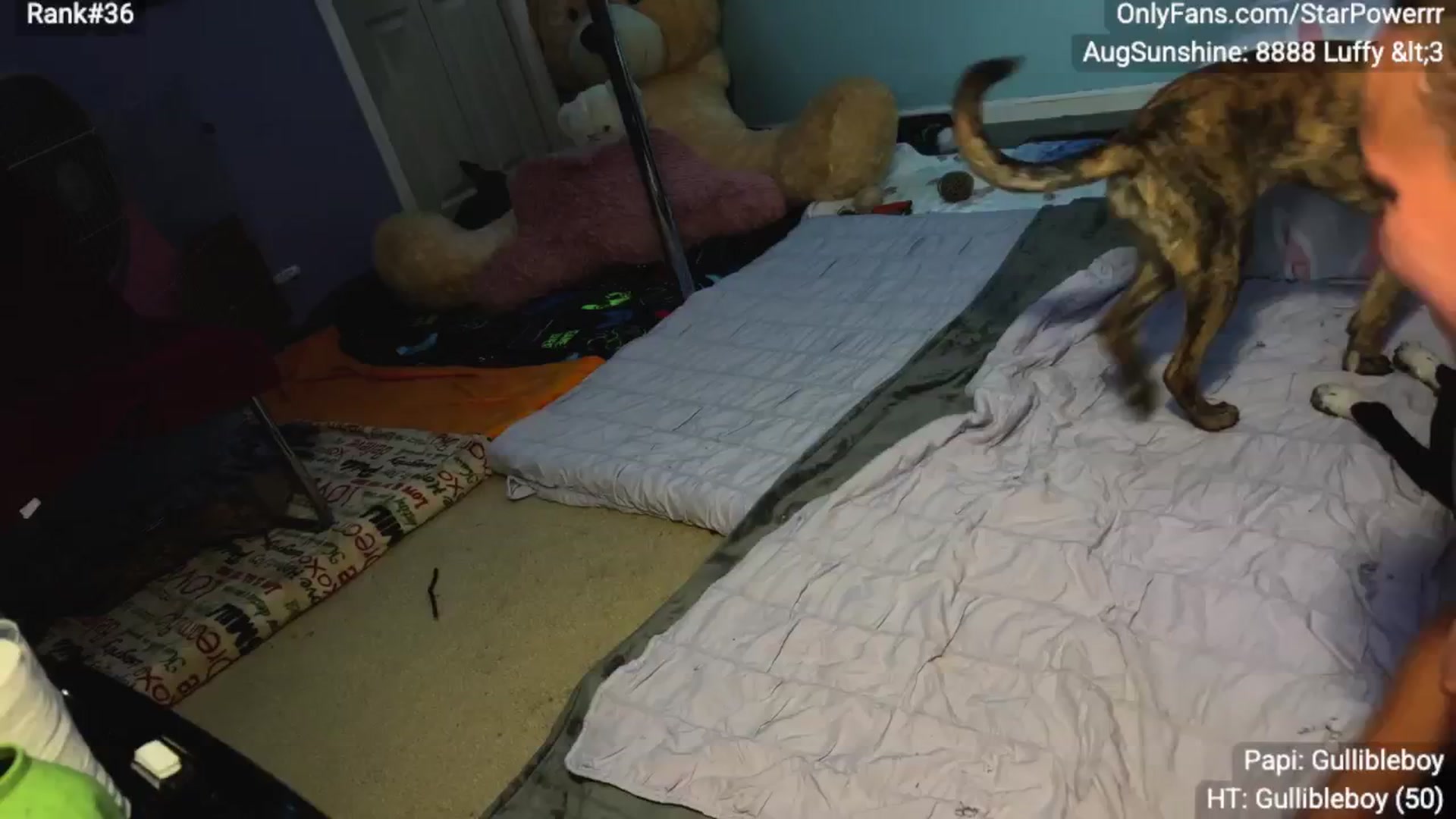 Gallery image thumbnail from StarPowerrr's myfreecams stream on, 09/02/2025, 06:12 image 9 of 20