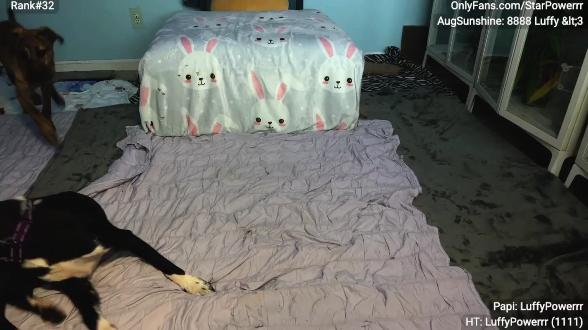 Gallery image thumbnail from StarPowerrr's myfreecams stream on, 09/02/2025, 07:58 image 15 of 20