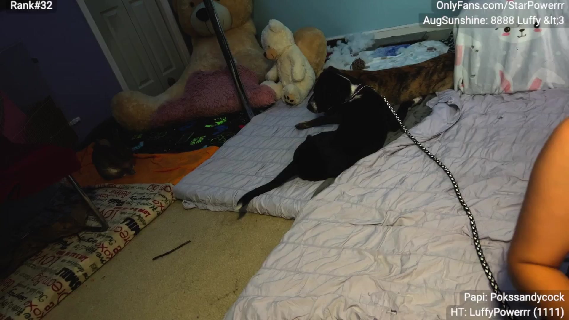 Gallery image thumbnail from StarPowerrr's myfreecams stream on, 09/02/2025, 07:58 image 14 of 20