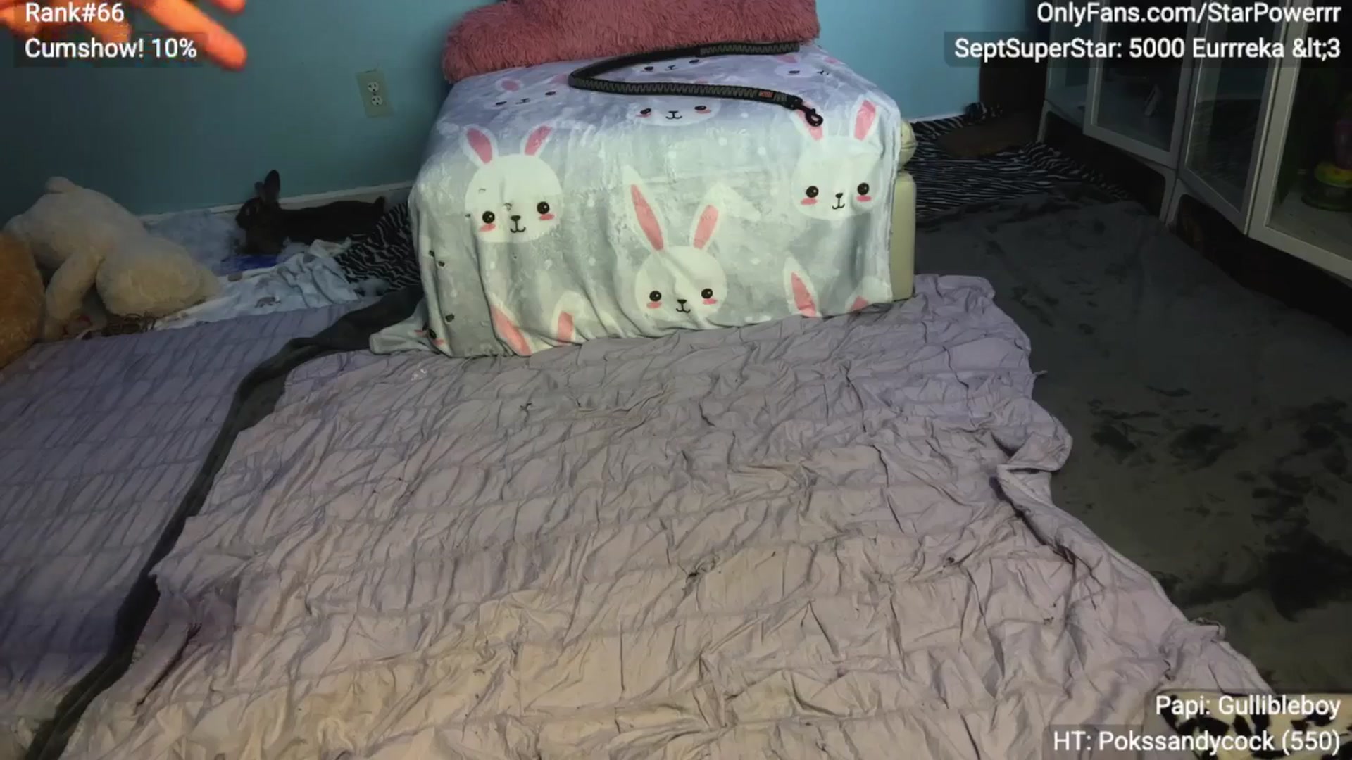 Gallery image thumbnail from StarPowerrr's myfreecams stream on, 09/16/2025, 08:52 image 8 of 20