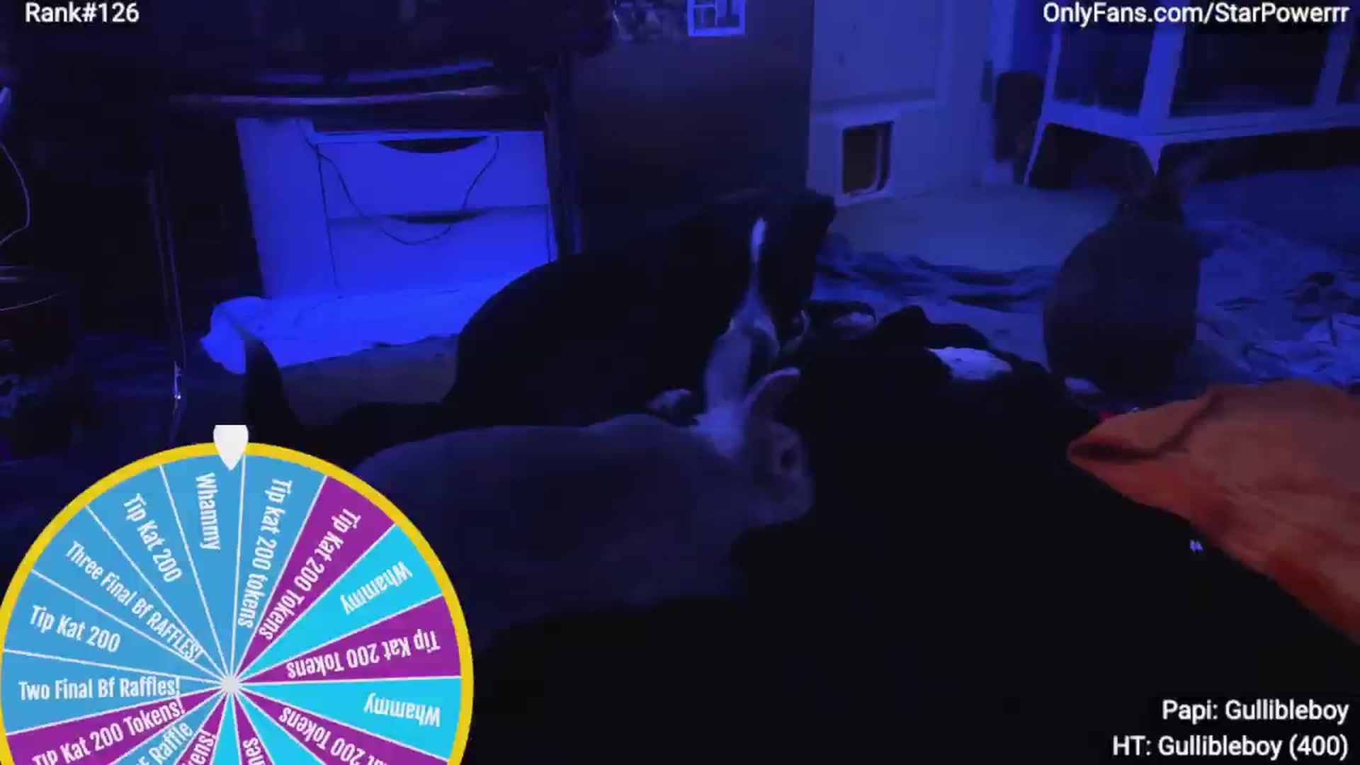 Gallery image thumbnail from StarPowerrr's myfreecams stream on, 10/05/2025, 04:04 image 5 of 20