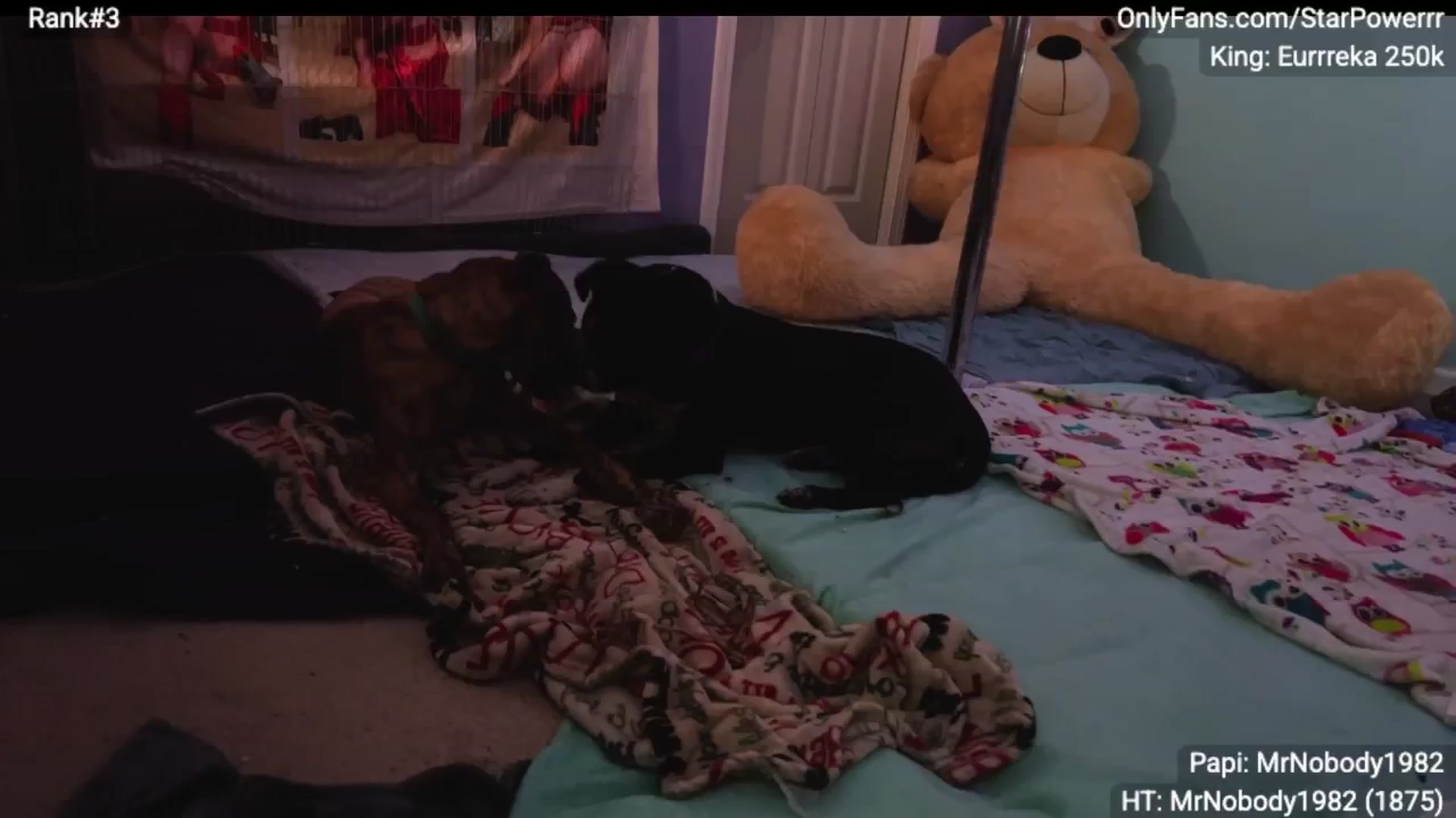 Gallery image thumbnail from StarPowerrr's myfreecams stream on, 11/11/2025, 08:47 image 7 of 20
