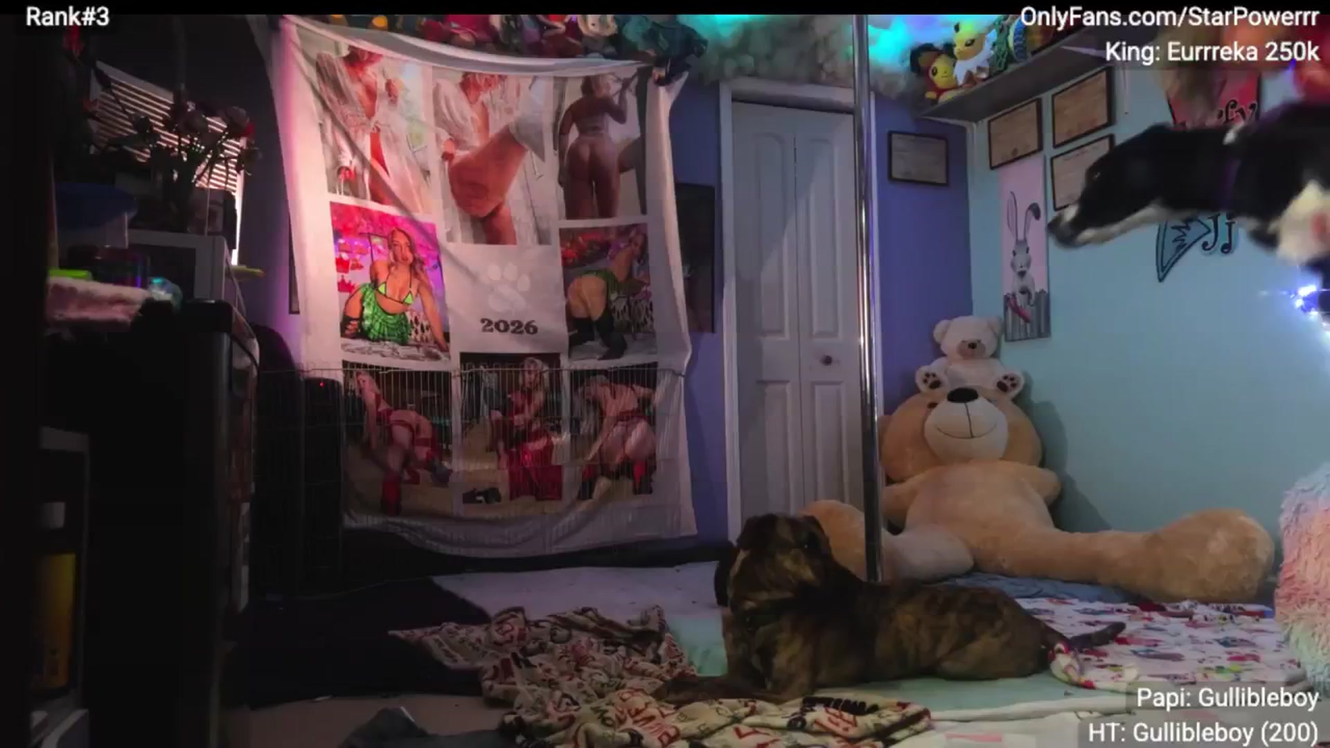 Gallery image thumbnail from StarPowerrr's myfreecams stream on, 11/14/2025, 04:17 image 16 of 20