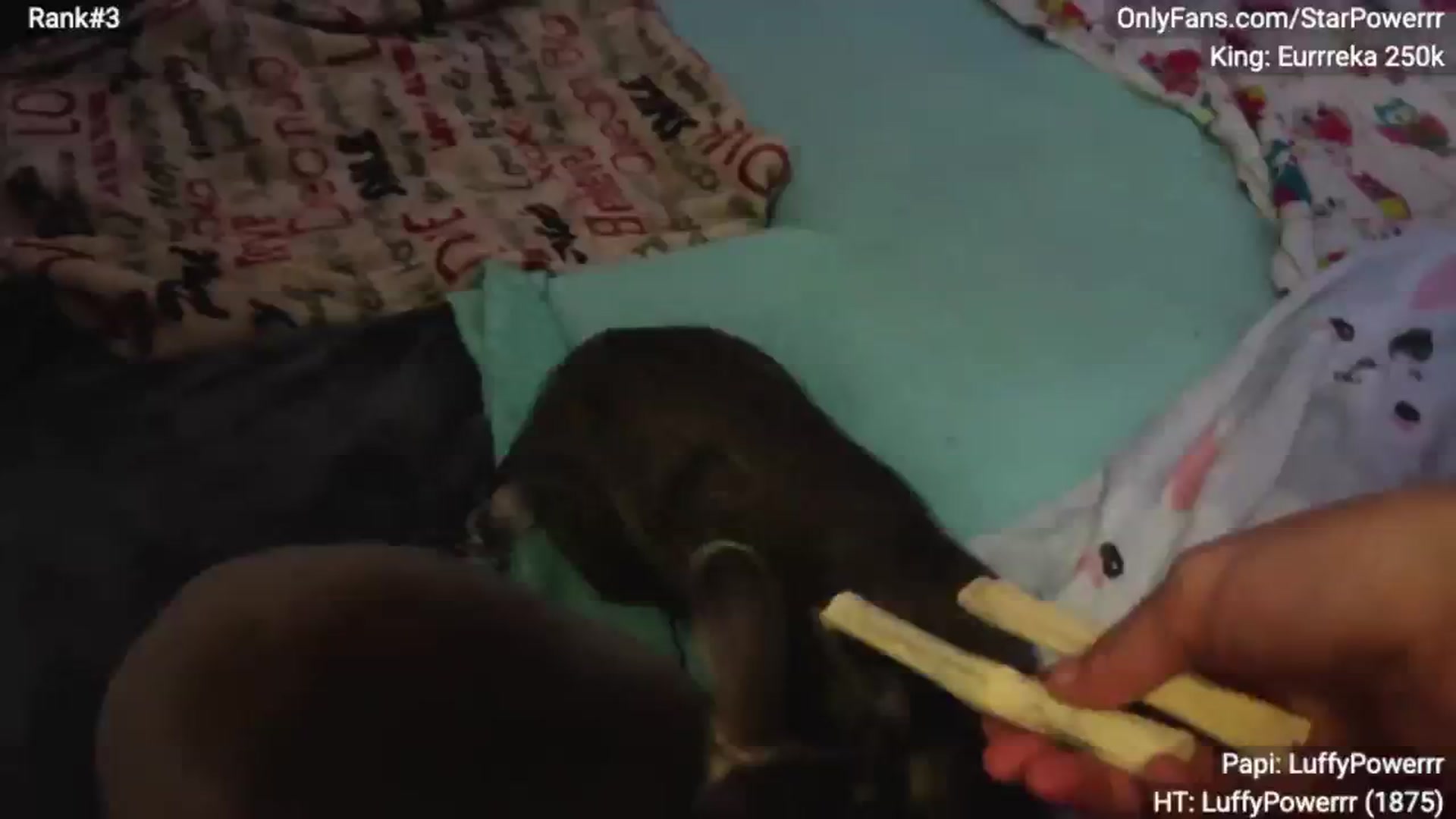 Gallery image thumbnail from StarPowerrr's myfreecams stream on, 11/23/2025, 08:30 image 17 of 20