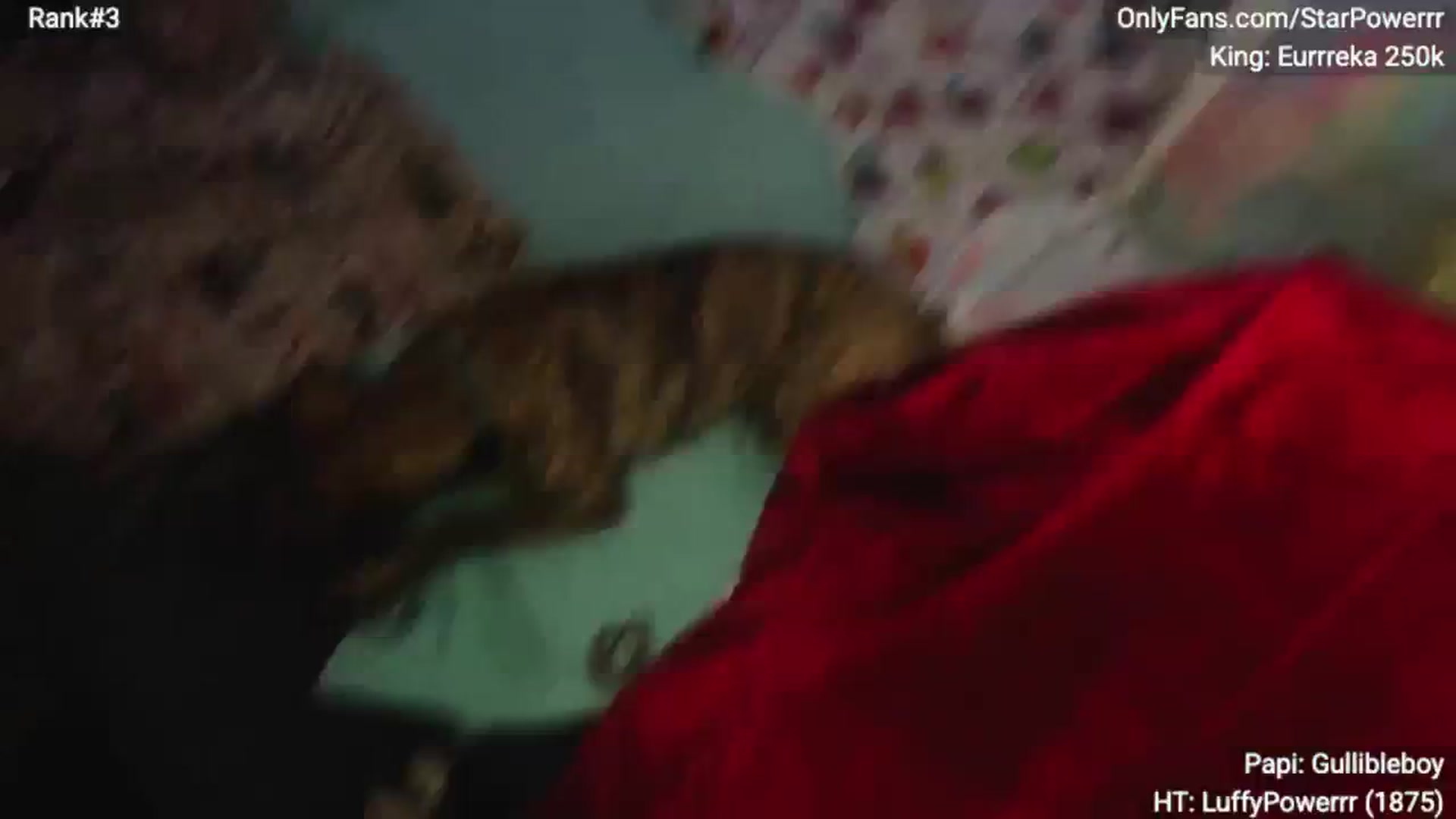 Gallery image thumbnail from StarPowerrr's myfreecams stream on, 11/23/2025, 11:44 image 1 of 20