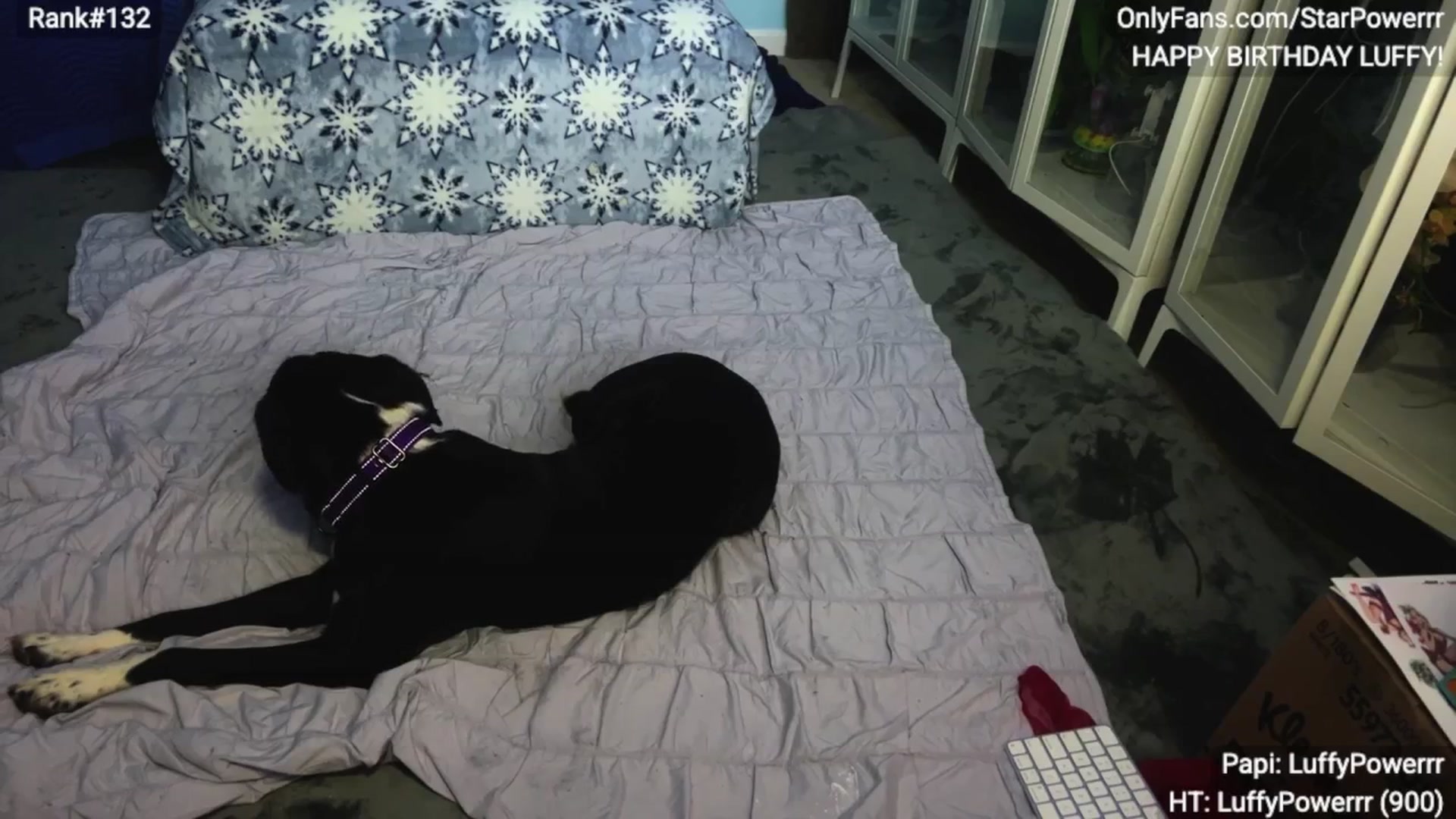 Gallery image thumbnail from StarPowerrr's myfreecams stream on, 01/02/2026, 08:55 image 16 of 20
