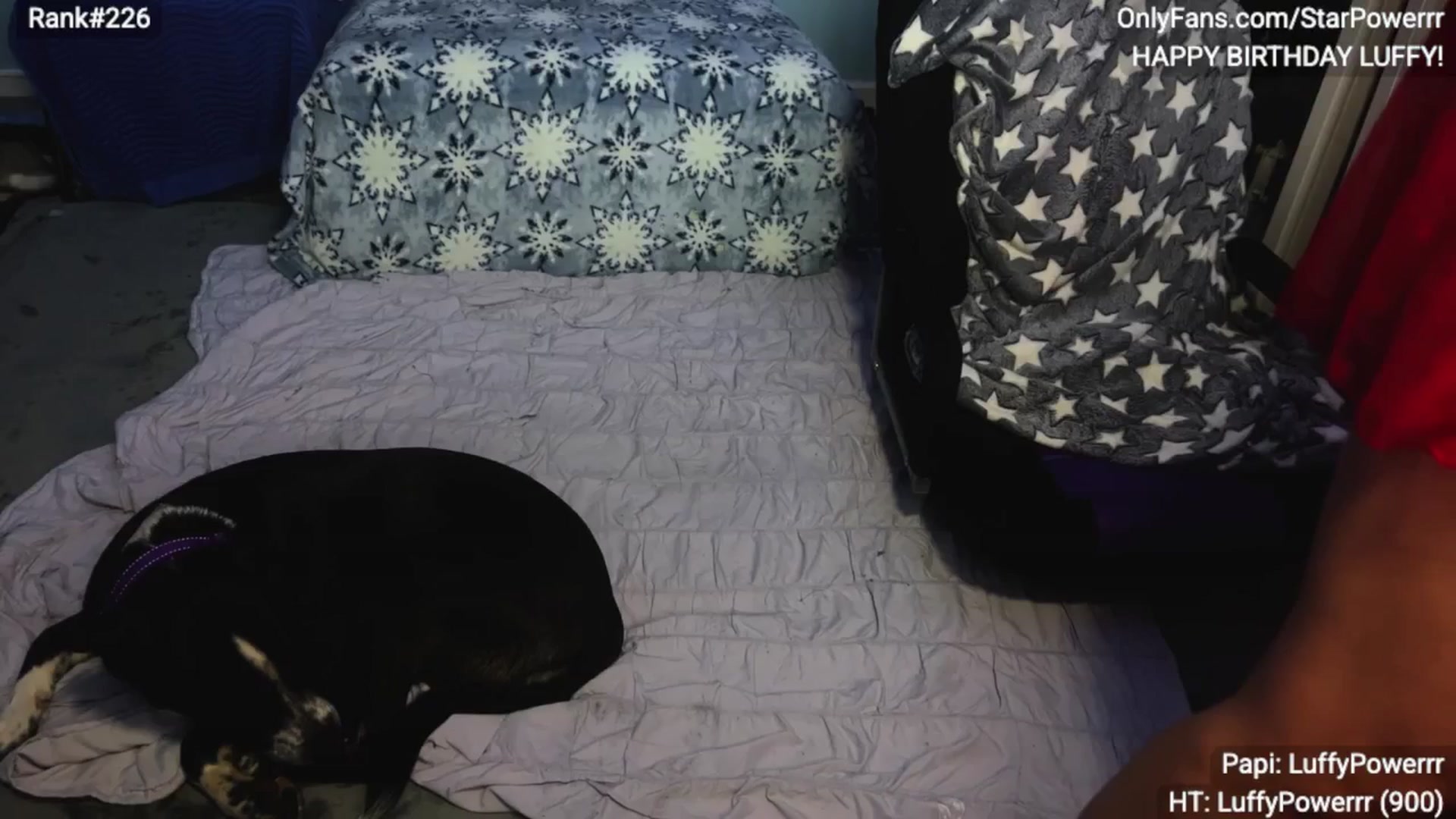 Gallery image thumbnail from StarPowerrr's myfreecams stream on, 01/02/2026, 08:55 image 6 of 20