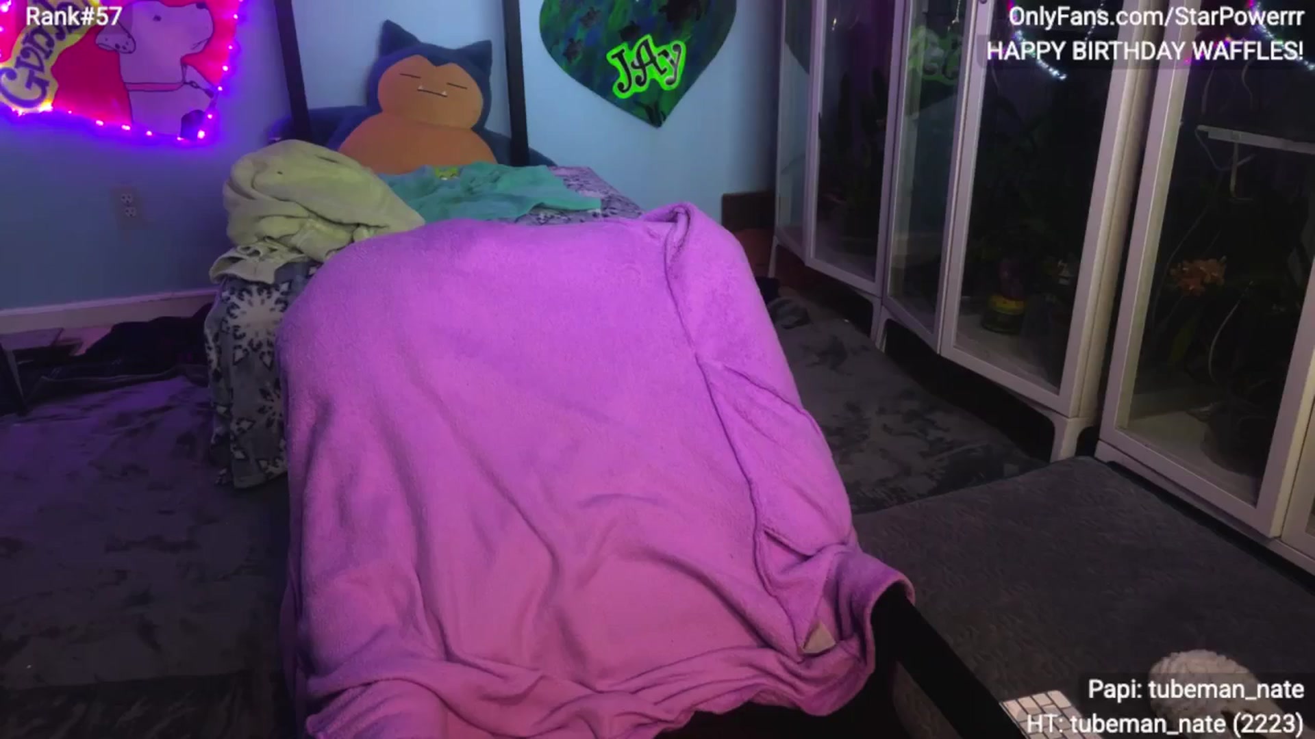 Gallery image thumbnail from StarPowerrr's myfreecams stream on, 01/25/2026, 13:41 image 5 of 20