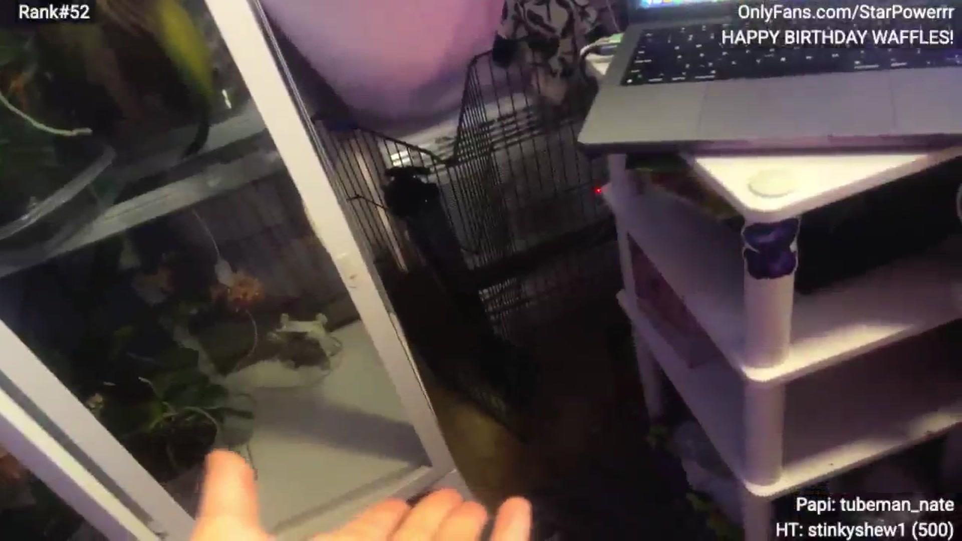 Gallery image thumbnail from StarPowerrr's myfreecams stream on, 01/26/2026, 18:20 image 20 of 20