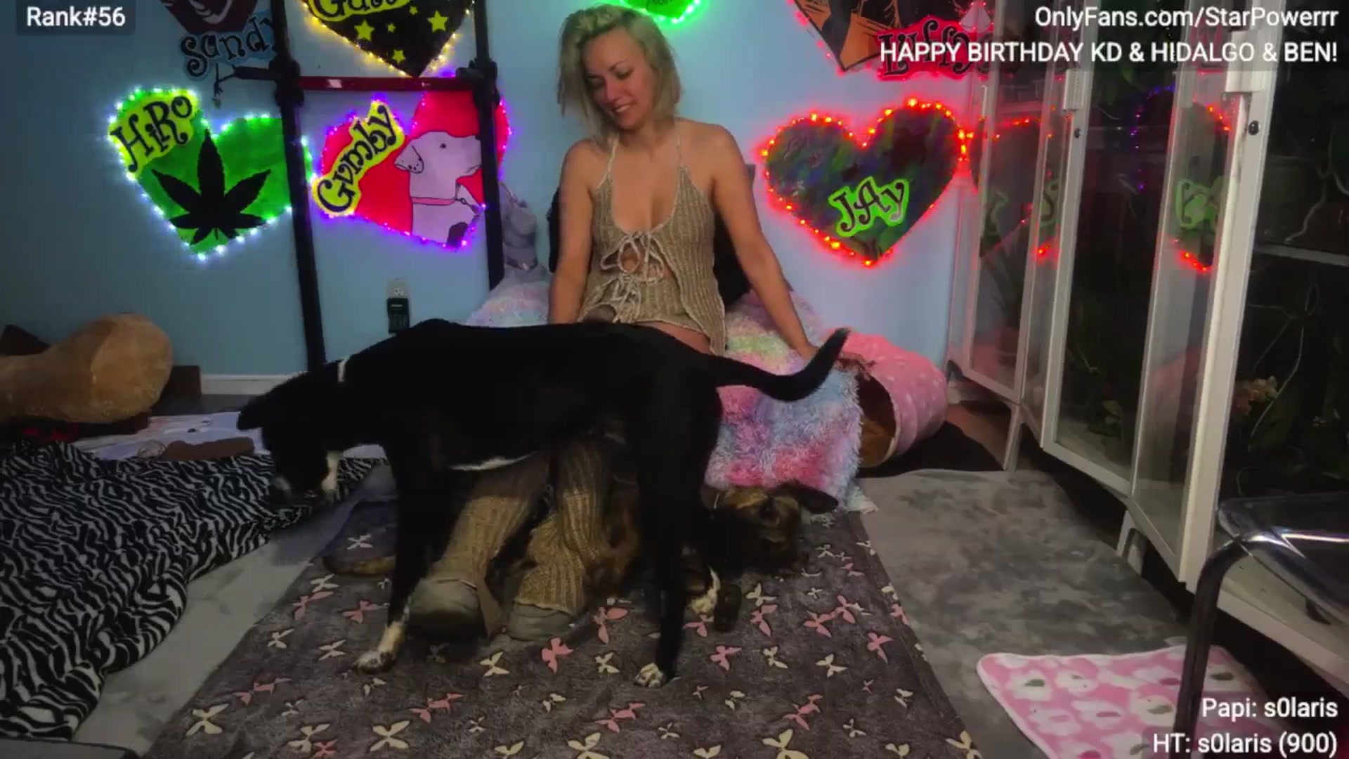Gallery image thumbnail from StarPowerrr's myfreecams stream on, 02/01/2026, 07:23 image 10 of 20