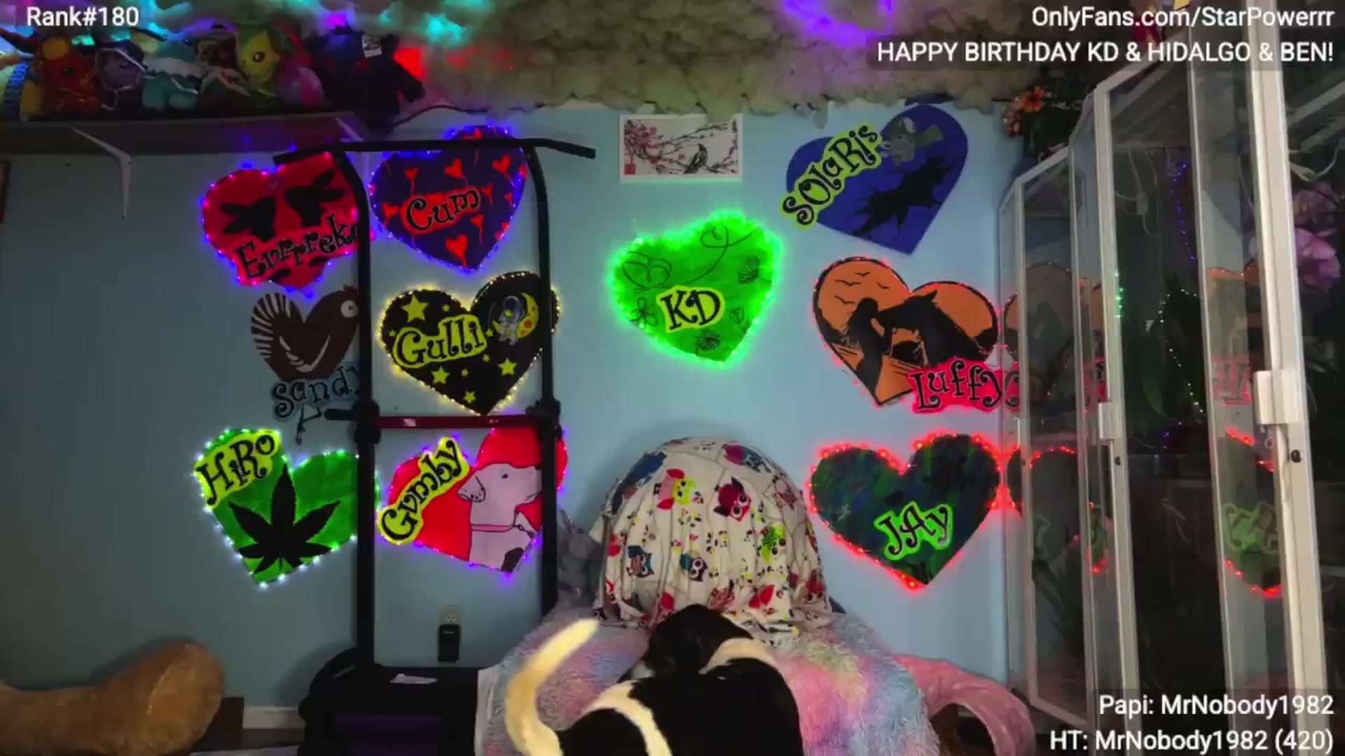 Gallery image thumbnail from StarPowerrr's myfreecams stream on, 02/02/2026, 18:16 image 19 of 20
