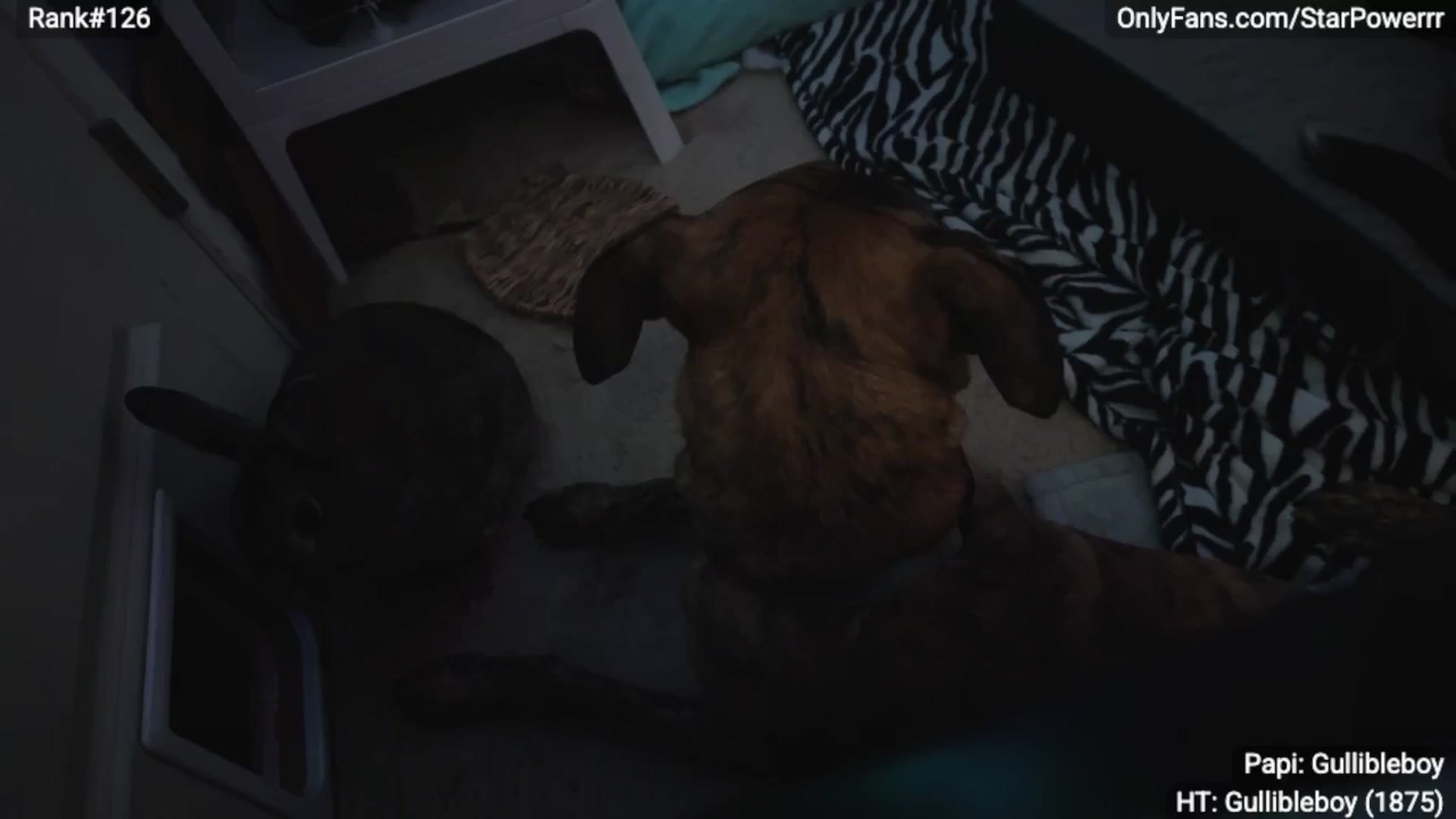 Gallery image thumbnail from StarPowerrr's myfreecams stream on, 02/05/2026, 08:37 image 10 of 20