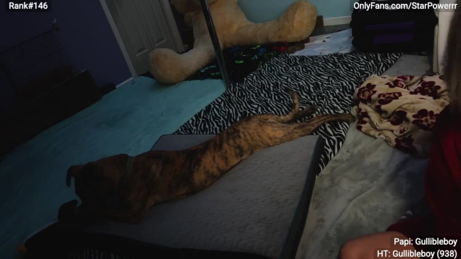 Gallery image thumbnail from StarPowerrr's myfreecams stream on, 02/05/2026, 08:37 image 6 of 20