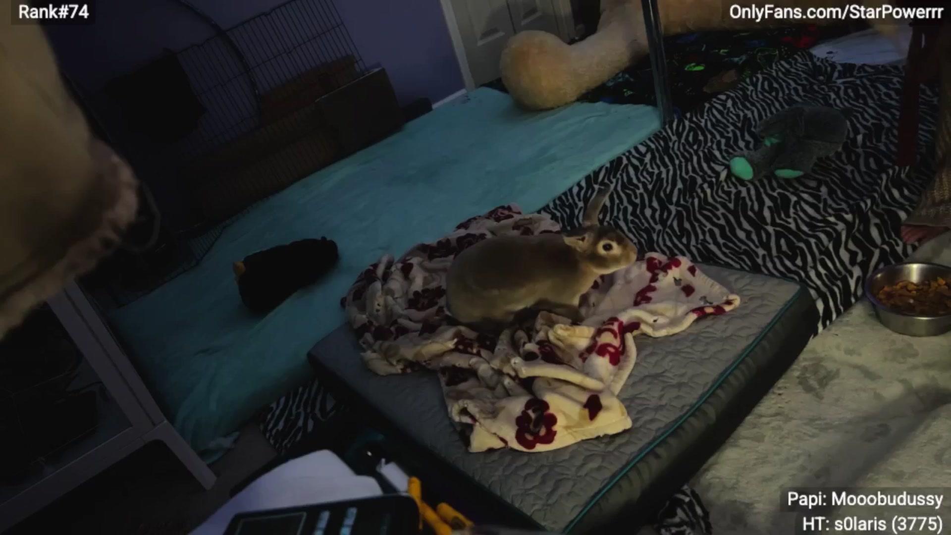 Gallery image thumbnail from StarPowerrr's myfreecams stream on, 02/07/2026, 09:59 image 13 of 20