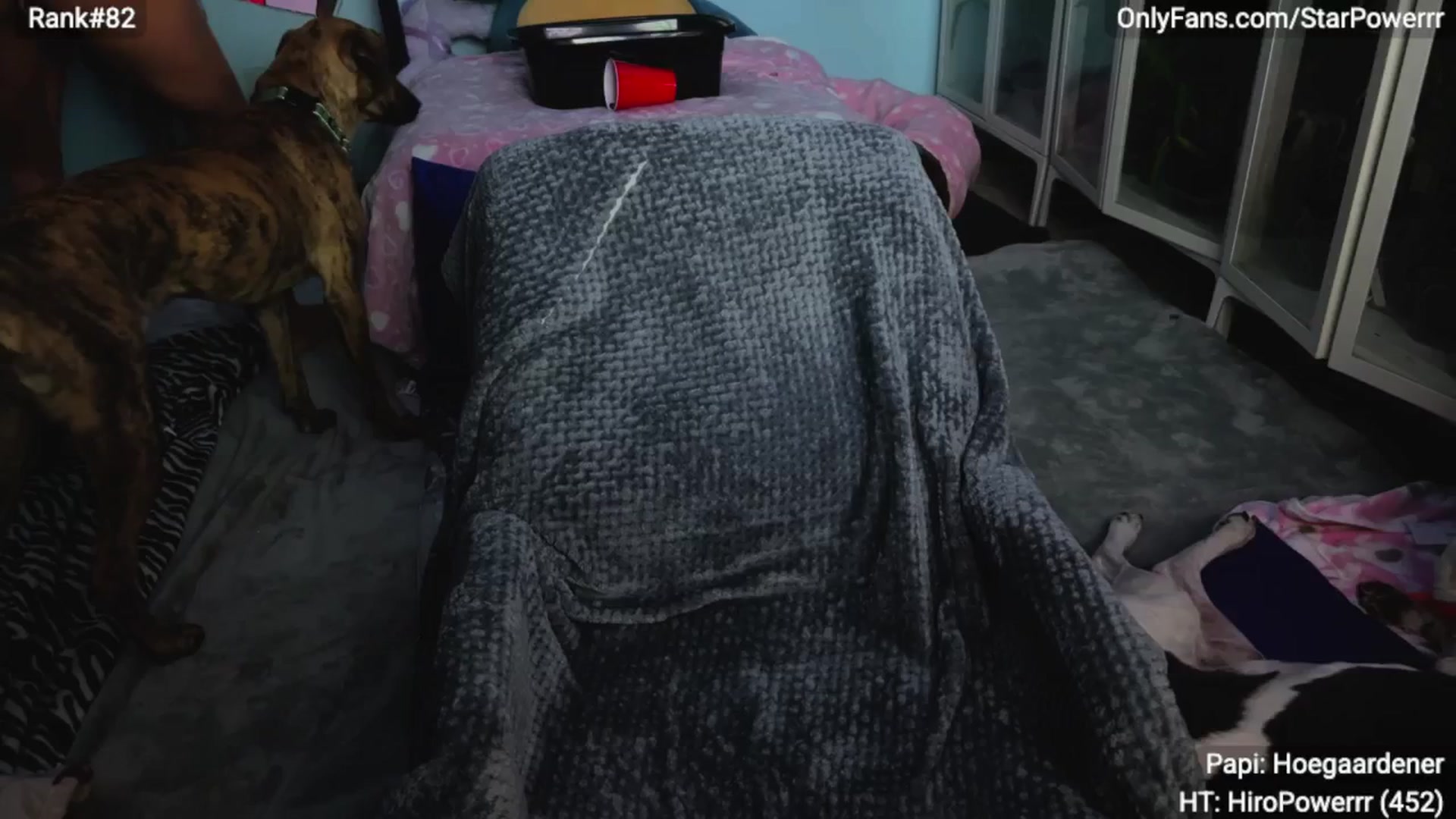 Gallery image thumbnail from StarPowerrr's myfreecams stream on, 02/12/2026, 08:47 image 6 of 20