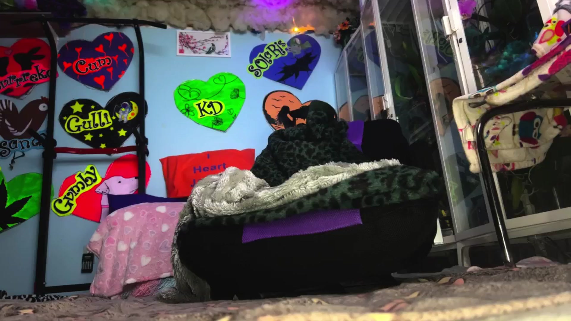 Gallery image thumbnail from StarPowerrr's myfreecams stream on, 03/02/2026, 09:19 image 5 of 20