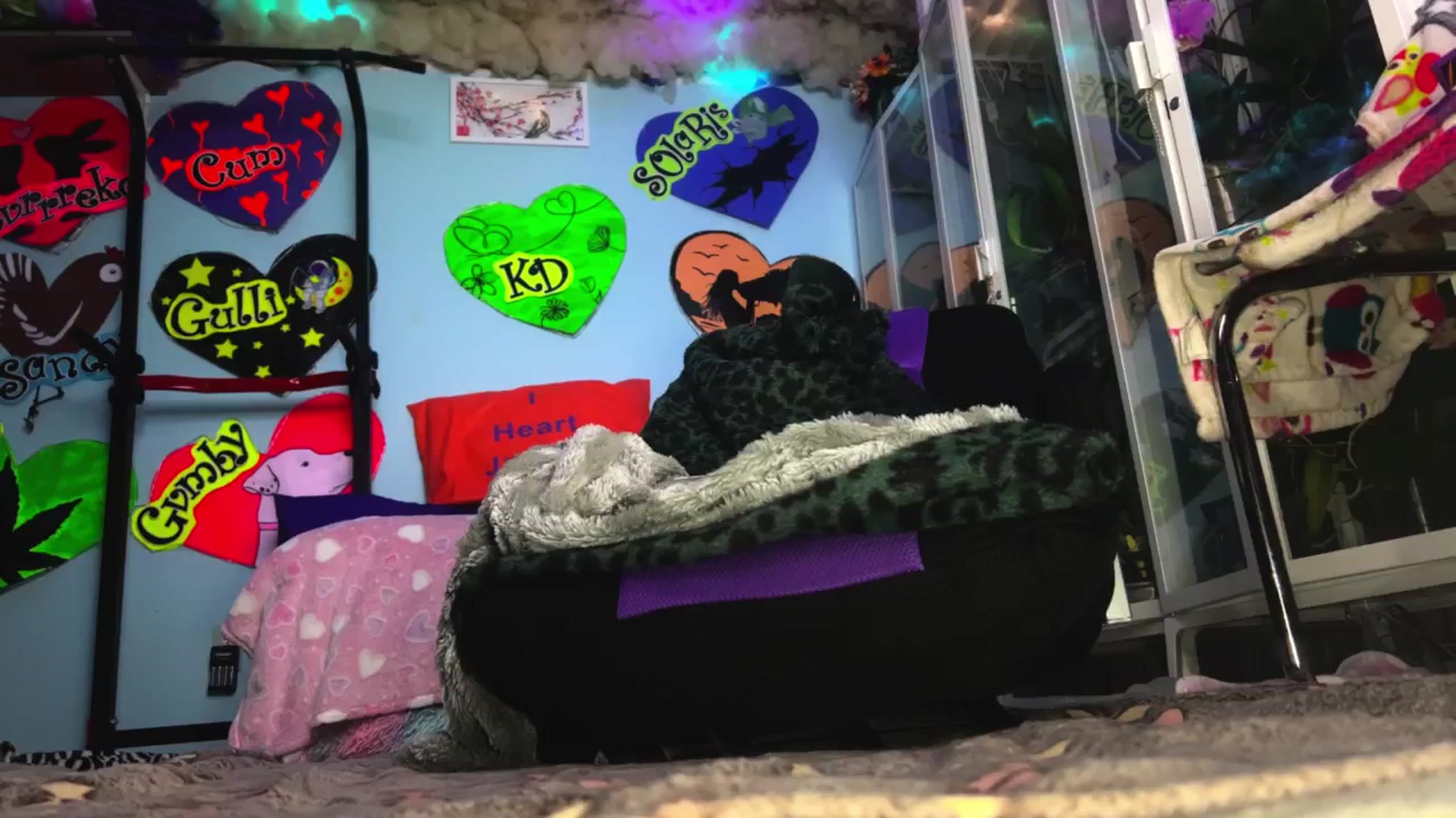 Gallery image thumbnail from StarPowerrr's myfreecams stream on, 03/02/2026, 09:19 image 6 of 20