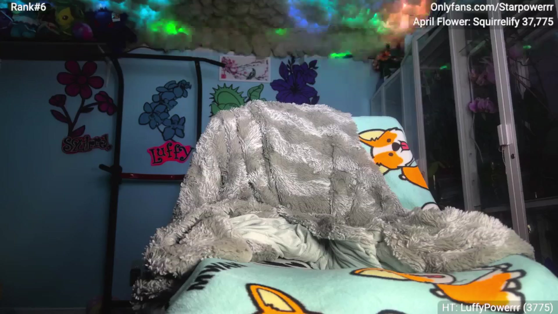 Gallery image thumbnail from StarPowerrr's myfreecams stream on, 04/11/2026, 10:04 image 13 of 20