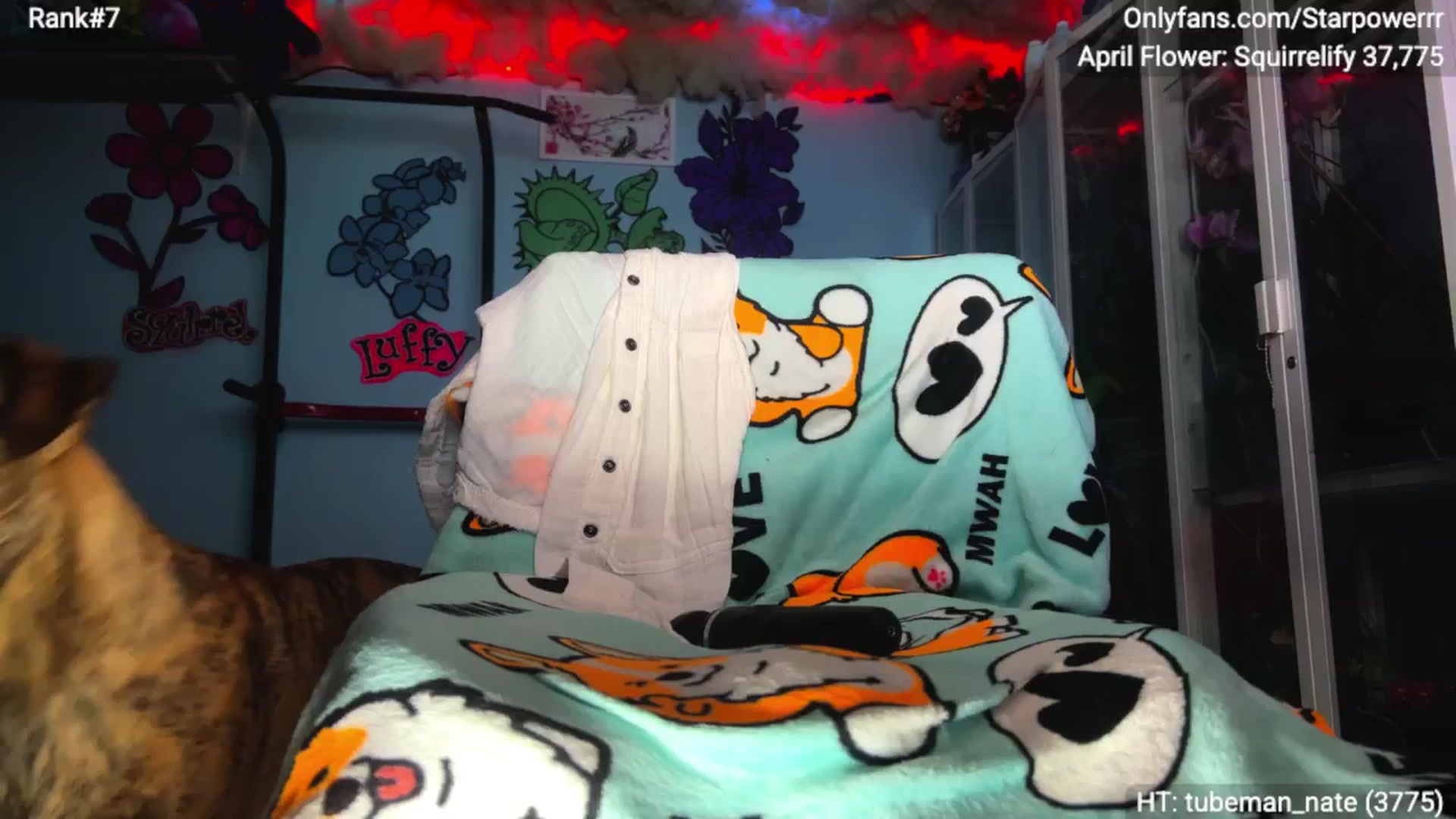 Gallery image thumbnail from StarPowerrr's myfreecams stream on, 04/12/2026, 09:57 image 13 of 20