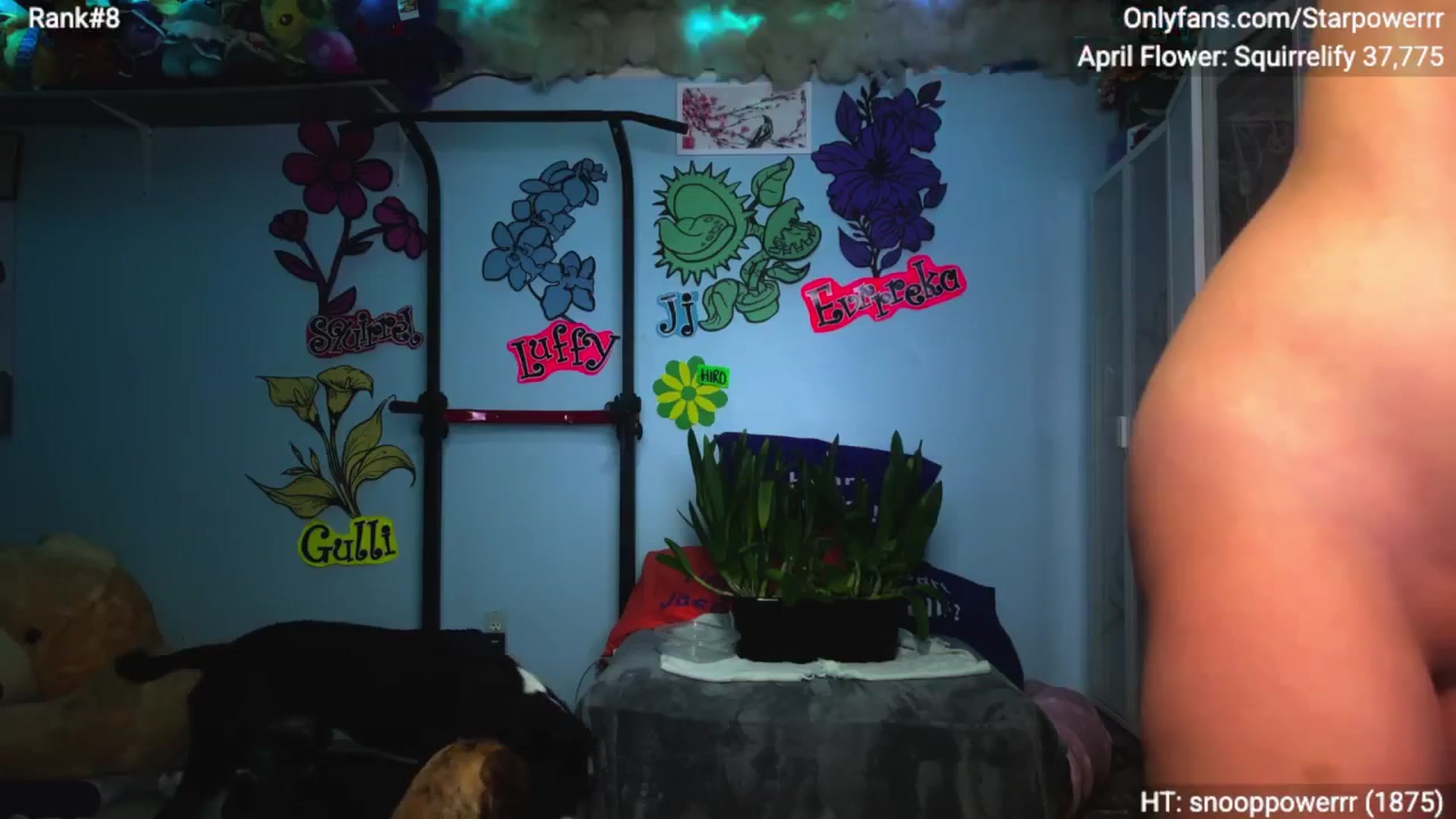 Gallery image thumbnail from StarPowerrr's myfreecams stream on, 04/21/2026, 10:31 image 7 of 20