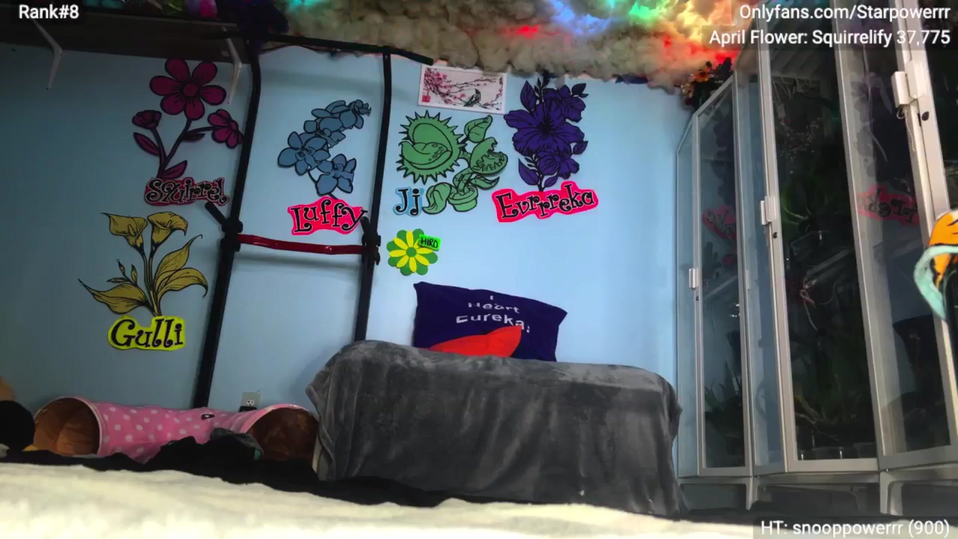 Gallery image thumbnail from StarPowerrr's myfreecams stream on, 04/22/2026, 09:10 image 13 of 20