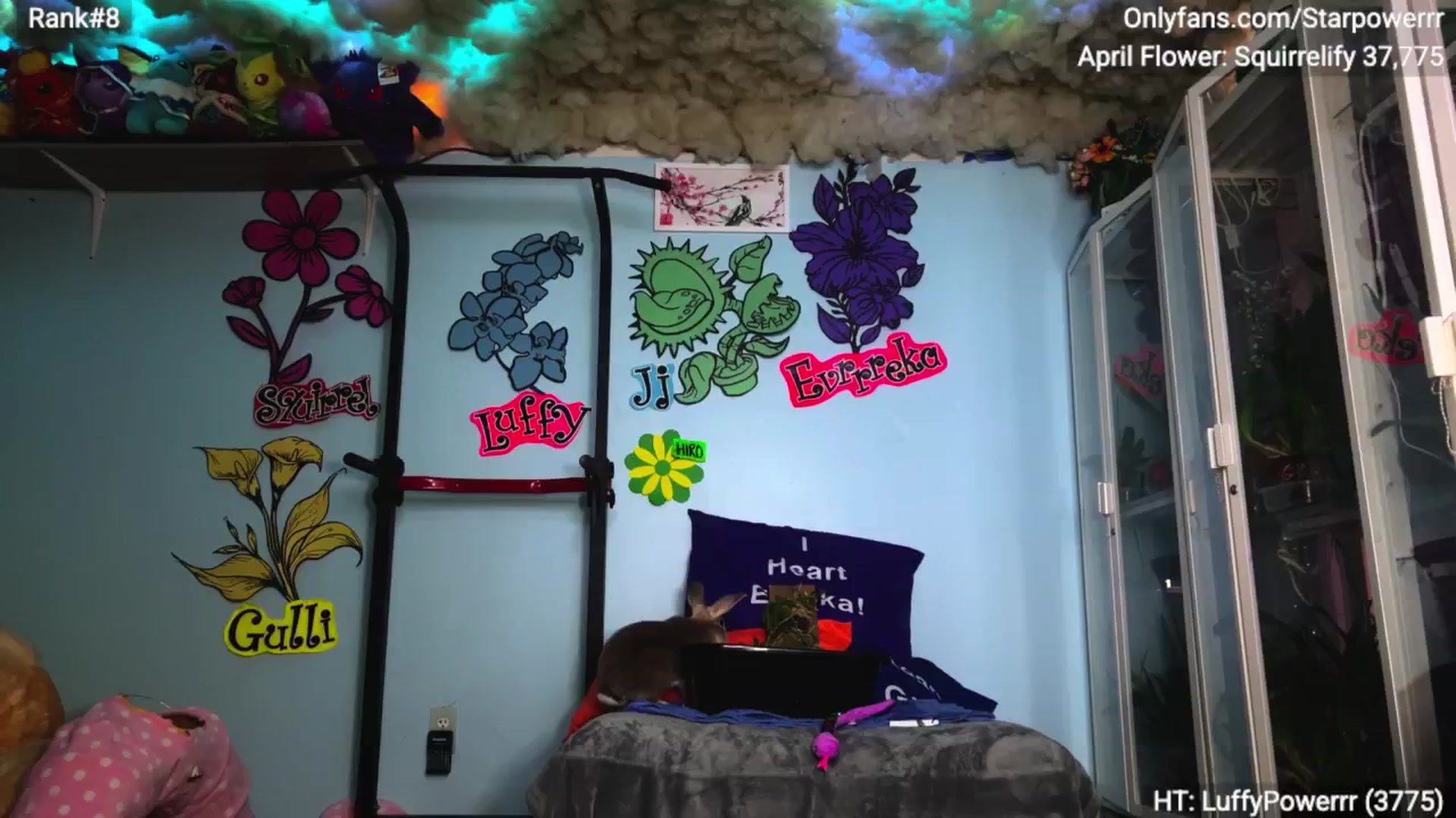 Gallery image thumbnail from StarPowerrr's myfreecams stream on, 04/24/2026, 16:54 image 1 of 20