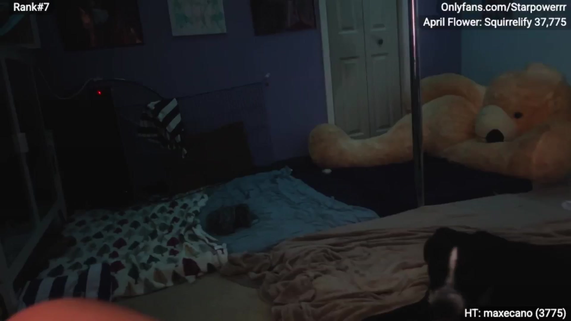 Gallery image thumbnail from StarPowerrr's myfreecams stream on, 04/29/2026, 08:05 image 15 of 20