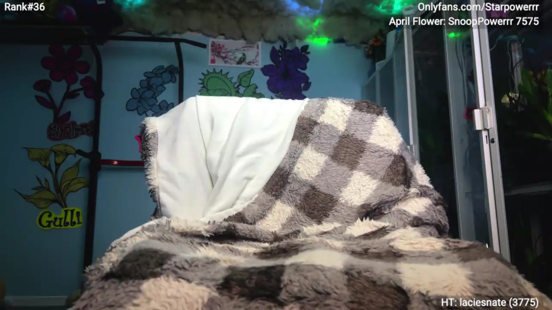 Gallery image thumbnail from StarPowerrr's myfreecams stream on, 05/14/2026, 12:13 image 8 of 20