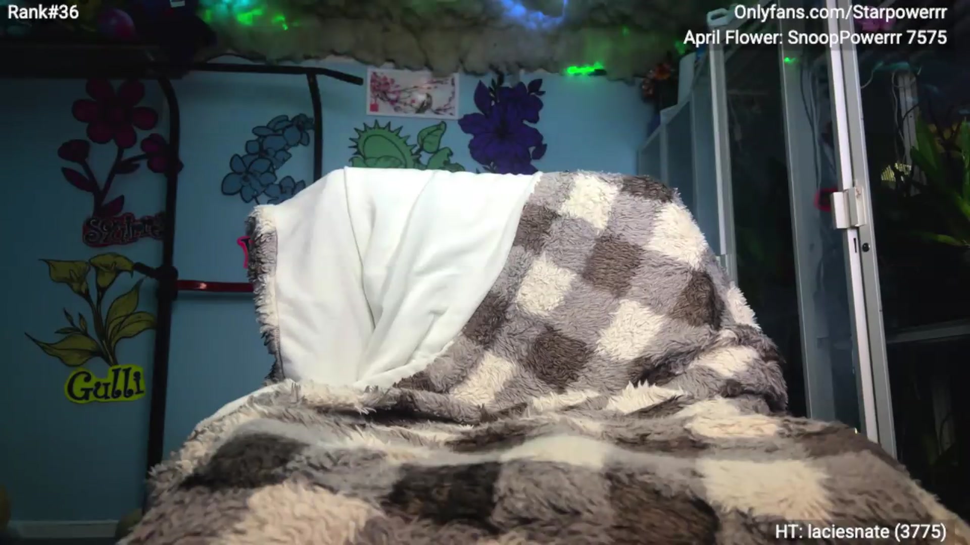 Gallery image thumbnail from StarPowerrr's myfreecams stream on, 05/14/2026, 12:13 image 9 of 20