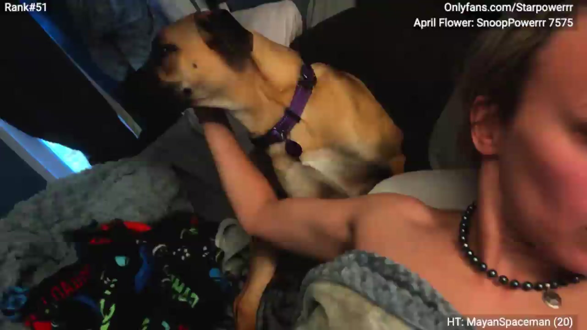 Gallery image thumbnail from StarPowerrr's myfreecams stream on, 05/26/2026, 13:45 image 5 of 20