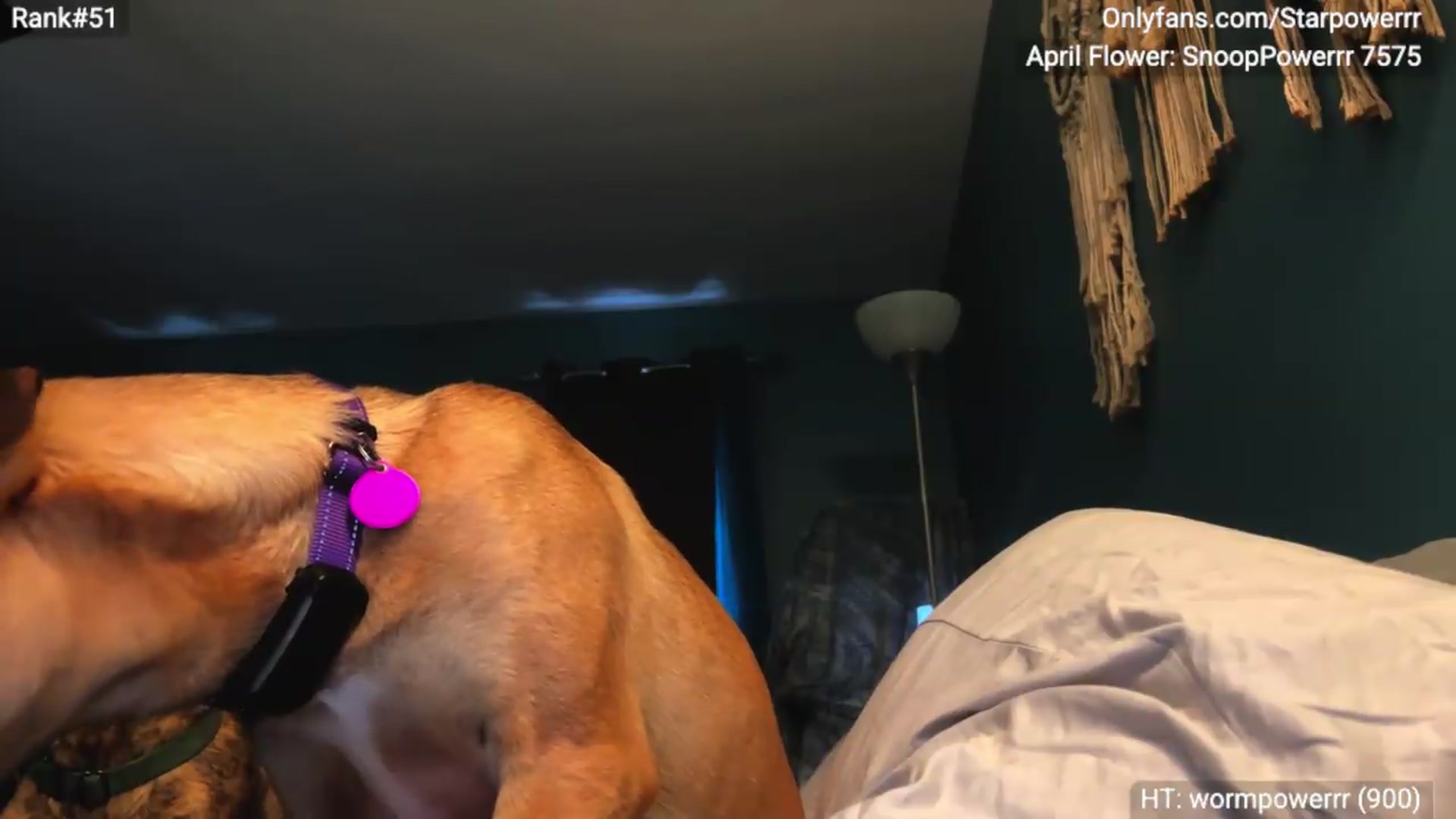 Gallery image thumbnail from StarPowerrr's myfreecams stream on, 05/26/2026, 13:45 image 7 of 20