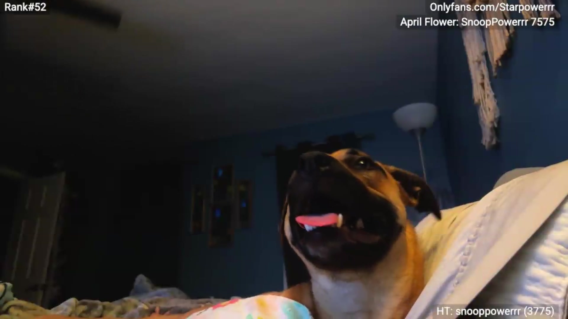 Gallery image thumbnail from StarPowerrr's myfreecams stream on, 05/28/2026, 10:28 image 16 of 20