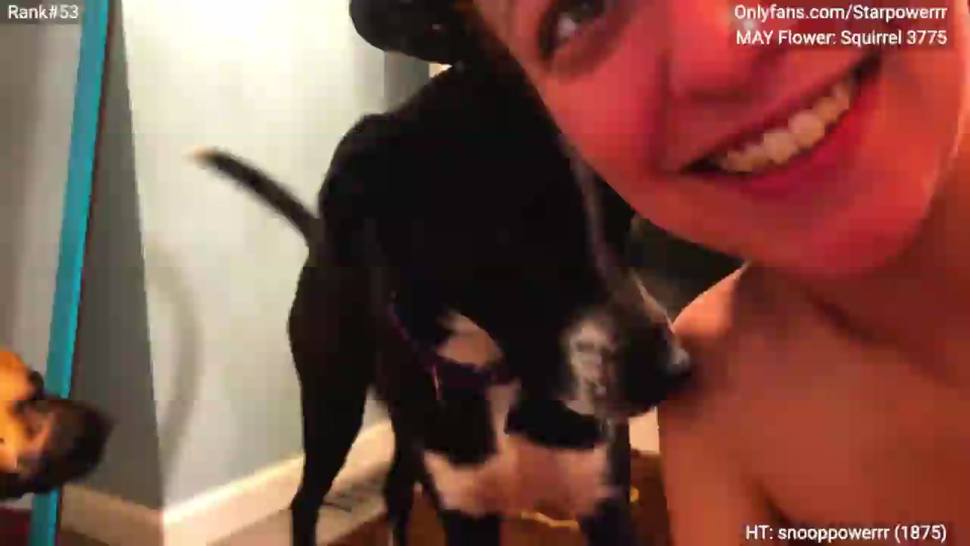 Gallery image thumbnail from StarPowerrr's myfreecams stream on, 06/08/2026, 09:31 image 4 of 20
