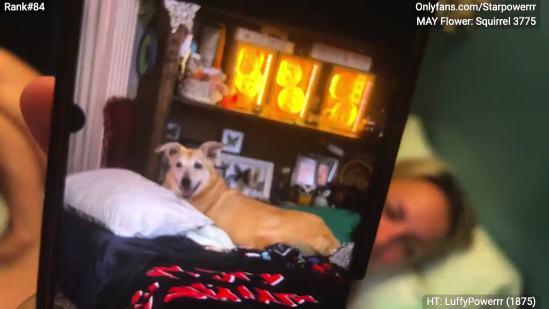 Gallery image thumbnail from StarPowerrr's myfreecams stream on, 06/15/2026, 08:34 image 5 of 20