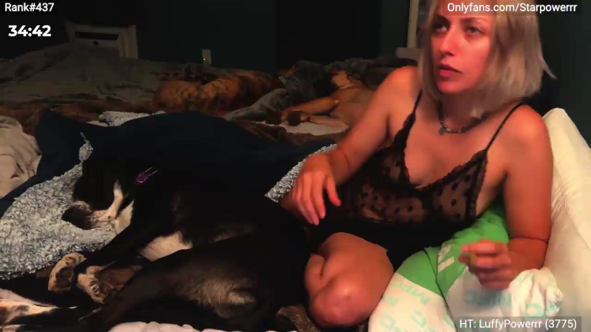 Gallery image thumbnail from StarPowerrr's myfreecams stream on, 07/04/2026, 03:26 image 8 of 20