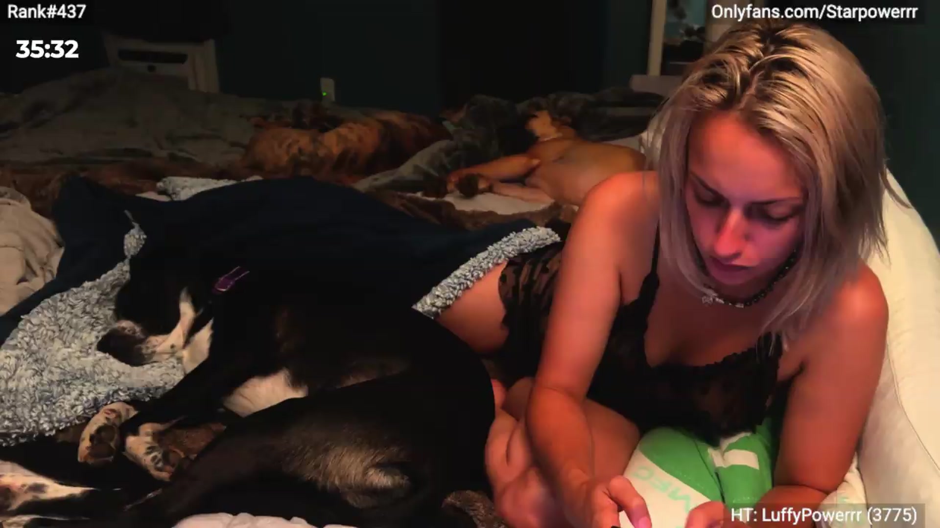 Gallery image thumbnail from StarPowerrr's myfreecams stream on, 07/04/2026, 03:26 image 7 of 20