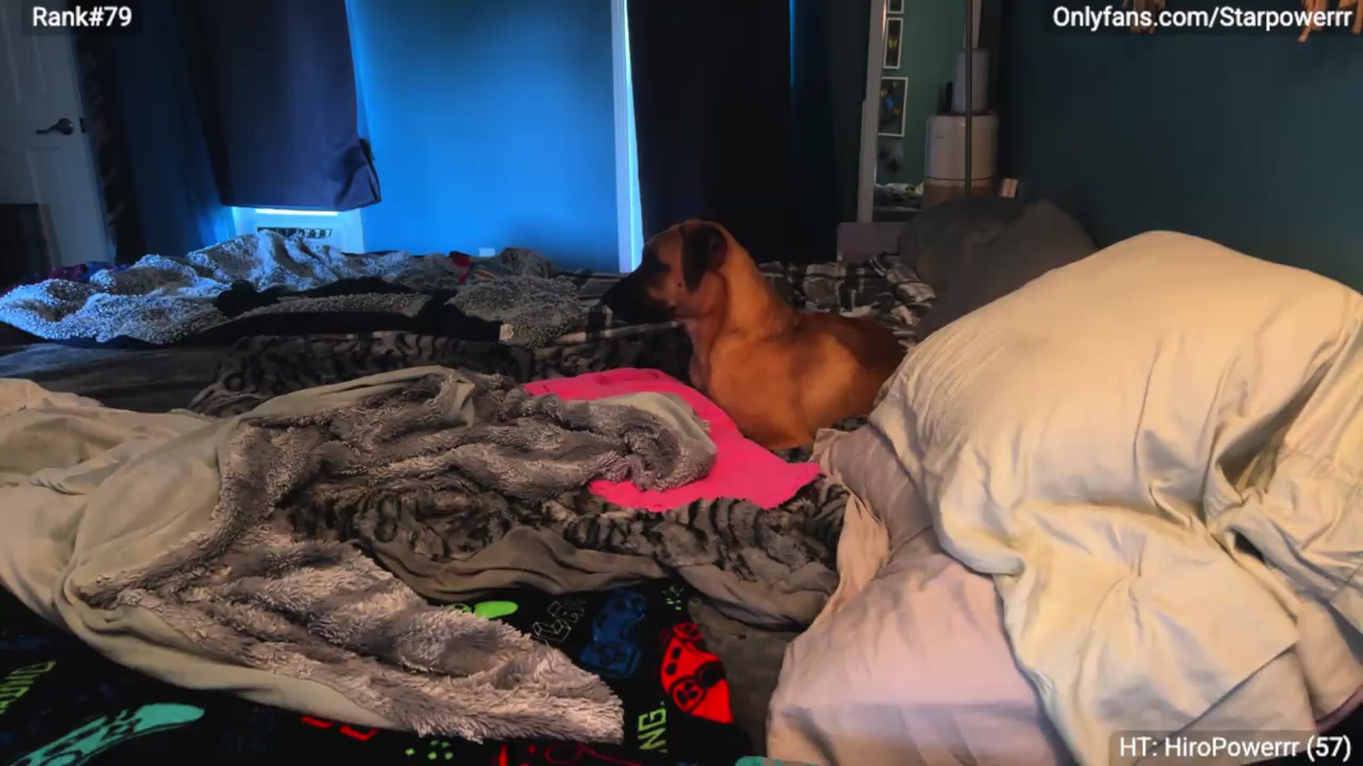 Gallery image thumbnail from StarPowerrr's myfreecams stream on, 07/27/2026, 24:32 image 6 of 20