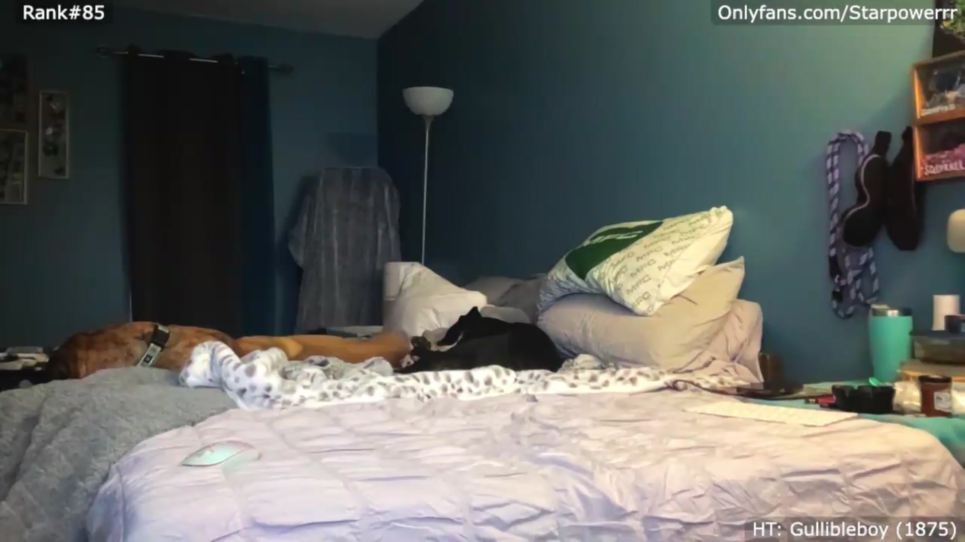 Gallery image thumbnail from StarPowerrr's myfreecams stream on, 08/16/2026, 05:52 image 9 of 20