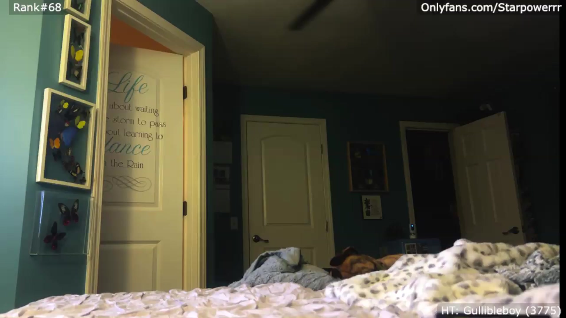 Gallery image thumbnail from StarPowerrr's myfreecams stream on, 08/16/2026, 06:25 image 9 of 20