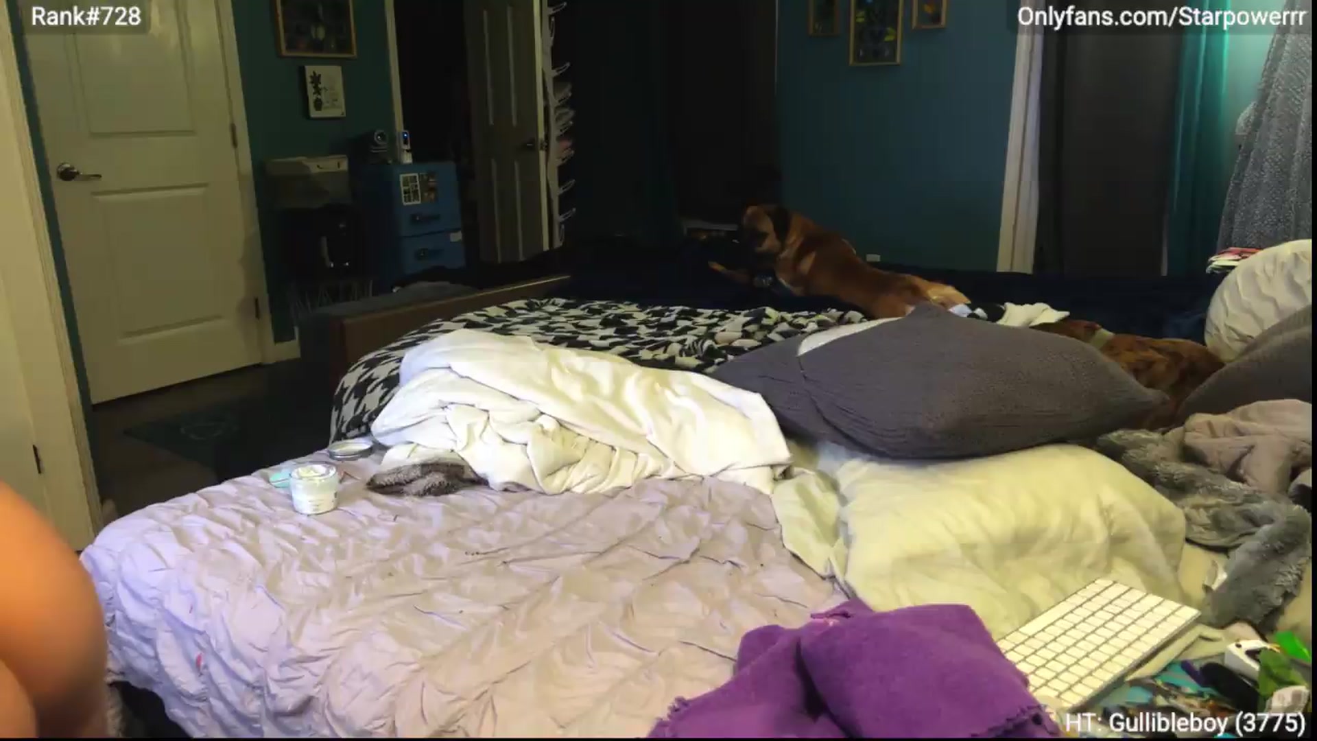 Gallery image thumbnail from StarPowerrr's myfreecams stream on, 09/03/2026, 07:47 image 9 of 20