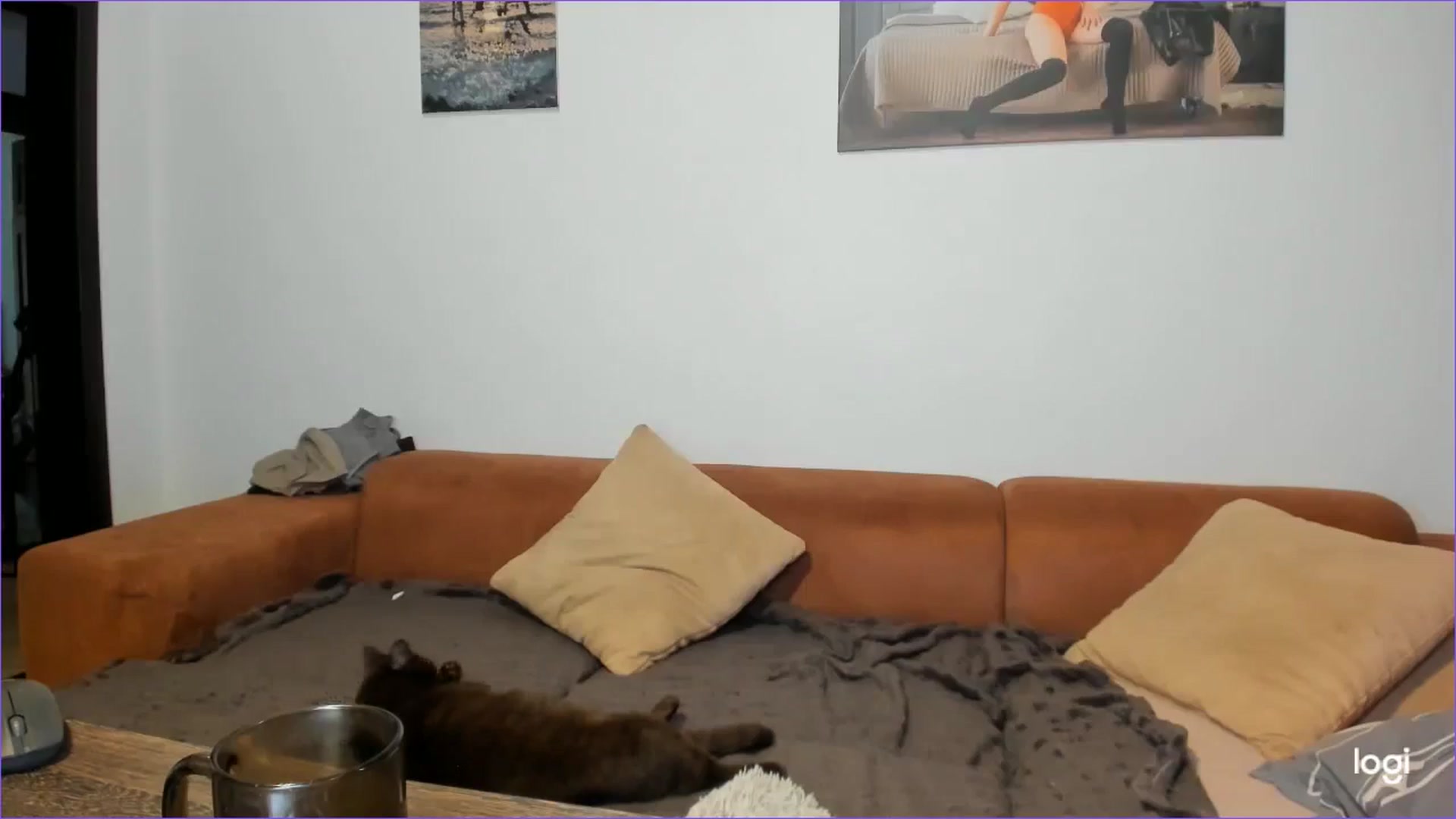 Gallery image thumbnail from StefaniNell's myfreecams stream on, 01/07/2025, 08:16 image 7 of 20