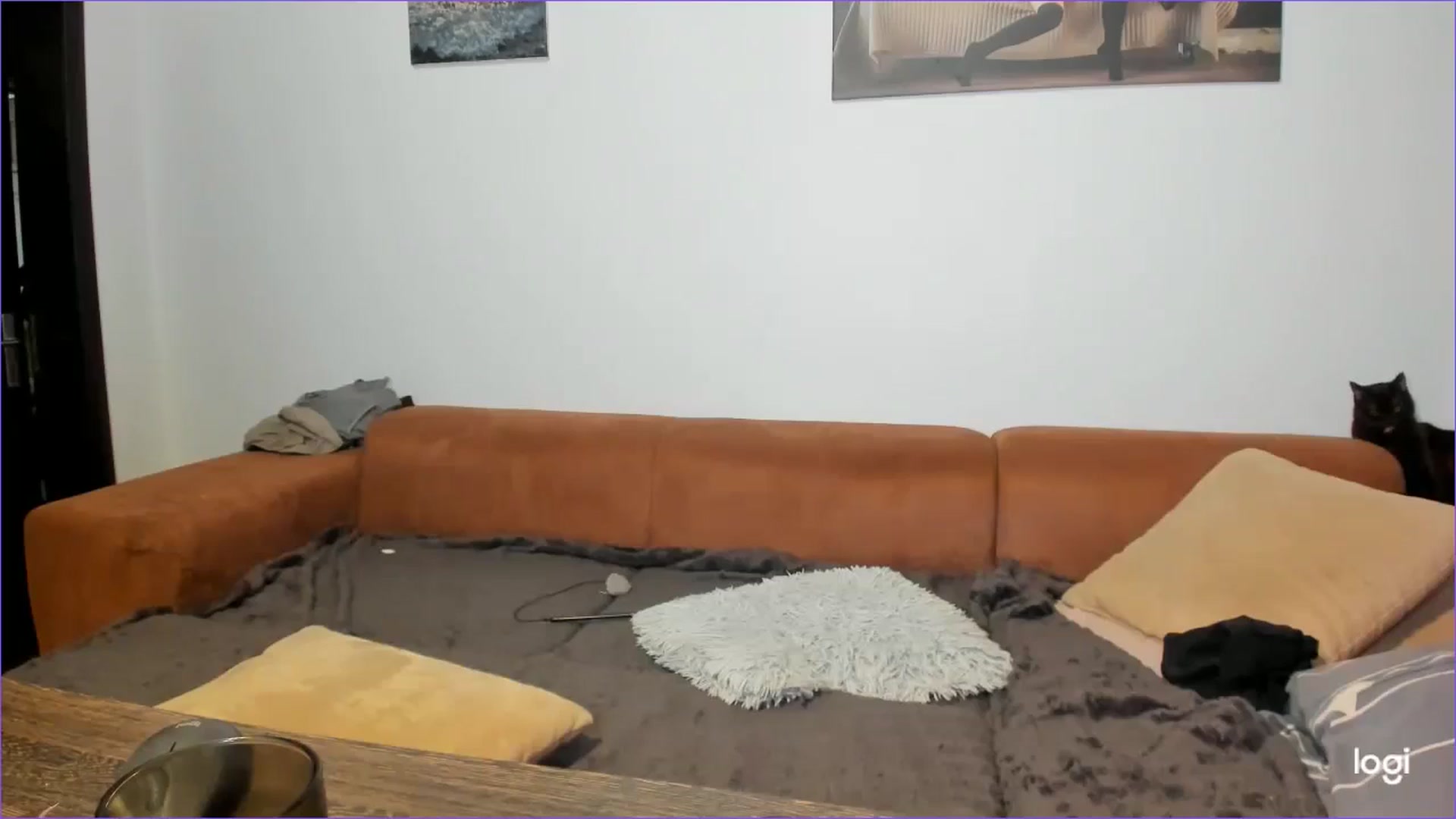 Gallery image thumbnail from StefaniNell's myfreecams stream on, 01/07/2025, 12:02 image 4 of 20