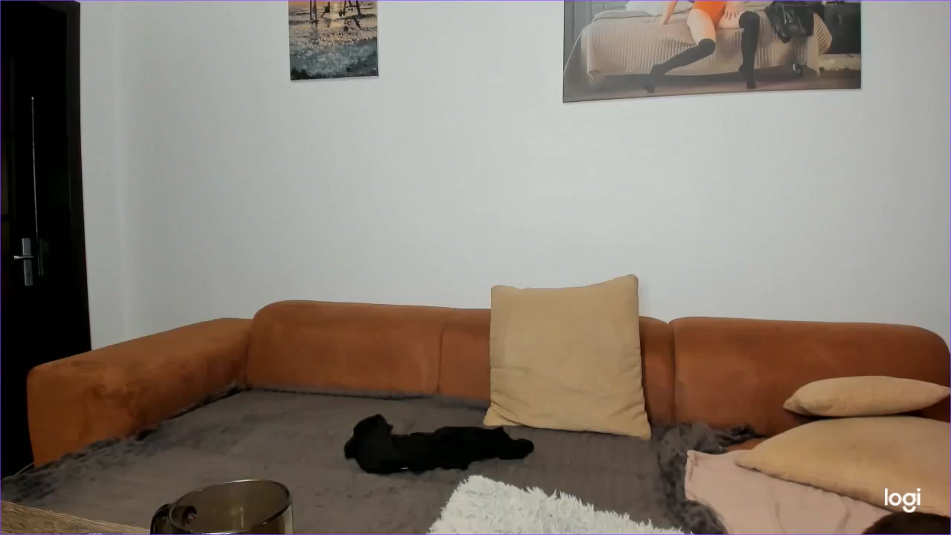 Gallery image thumbnail from StefaniNell's myfreecams stream on, 02/08/2025, 12:32 image 10 of 20