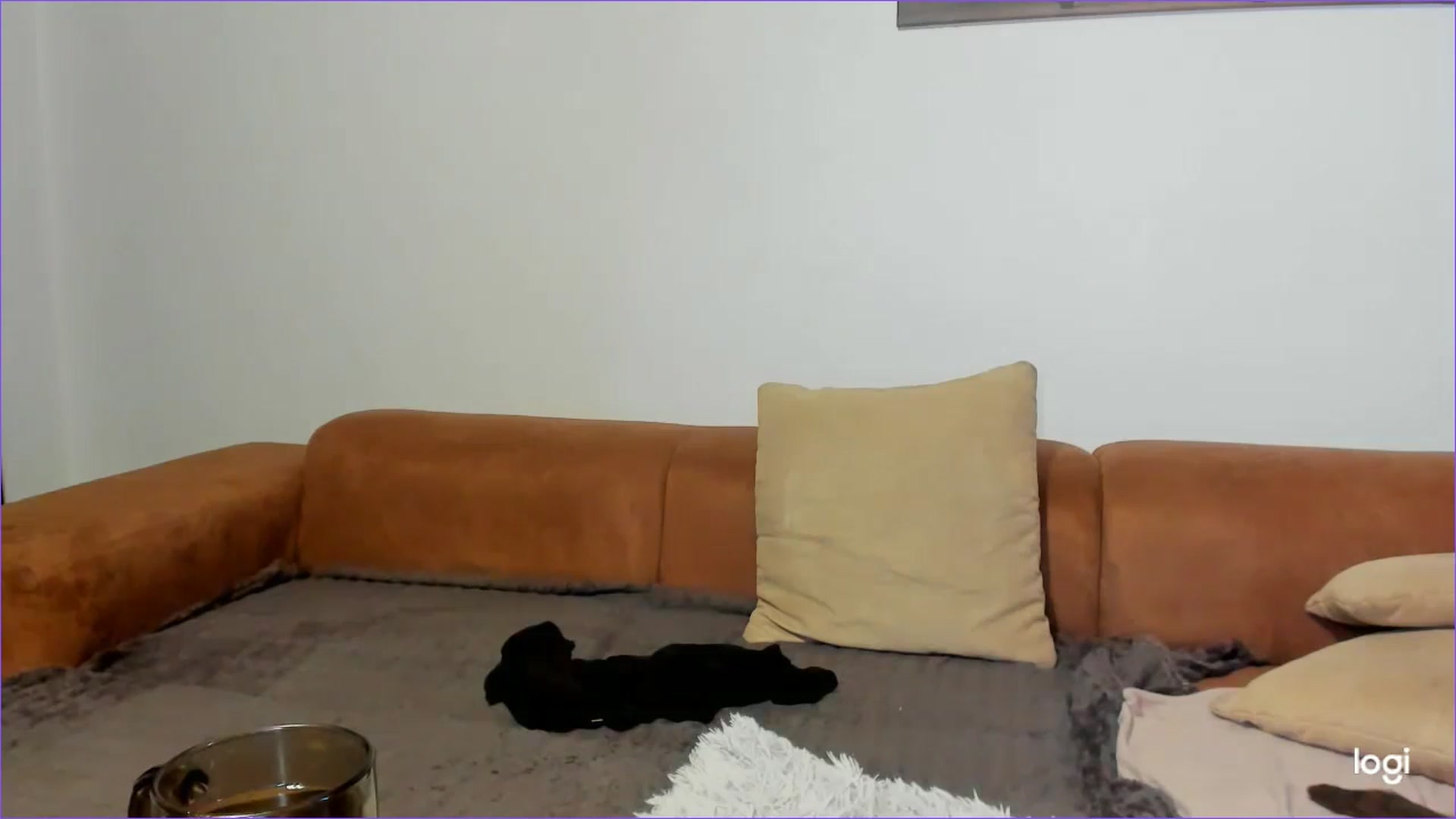 Gallery image thumbnail from StefaniNell's myfreecams stream on, 02/08/2025, 12:32 image 4 of 20