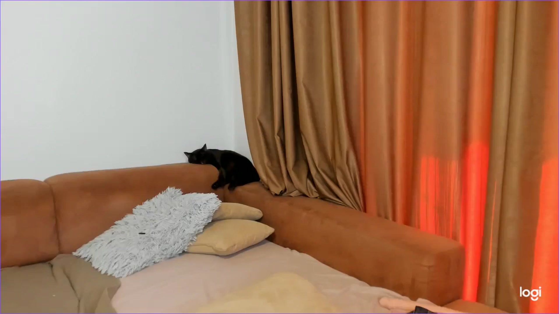Gallery image thumbnail from StefaniNell's myfreecams stream on, 08/28/2025, 09:14 image 4 of 20