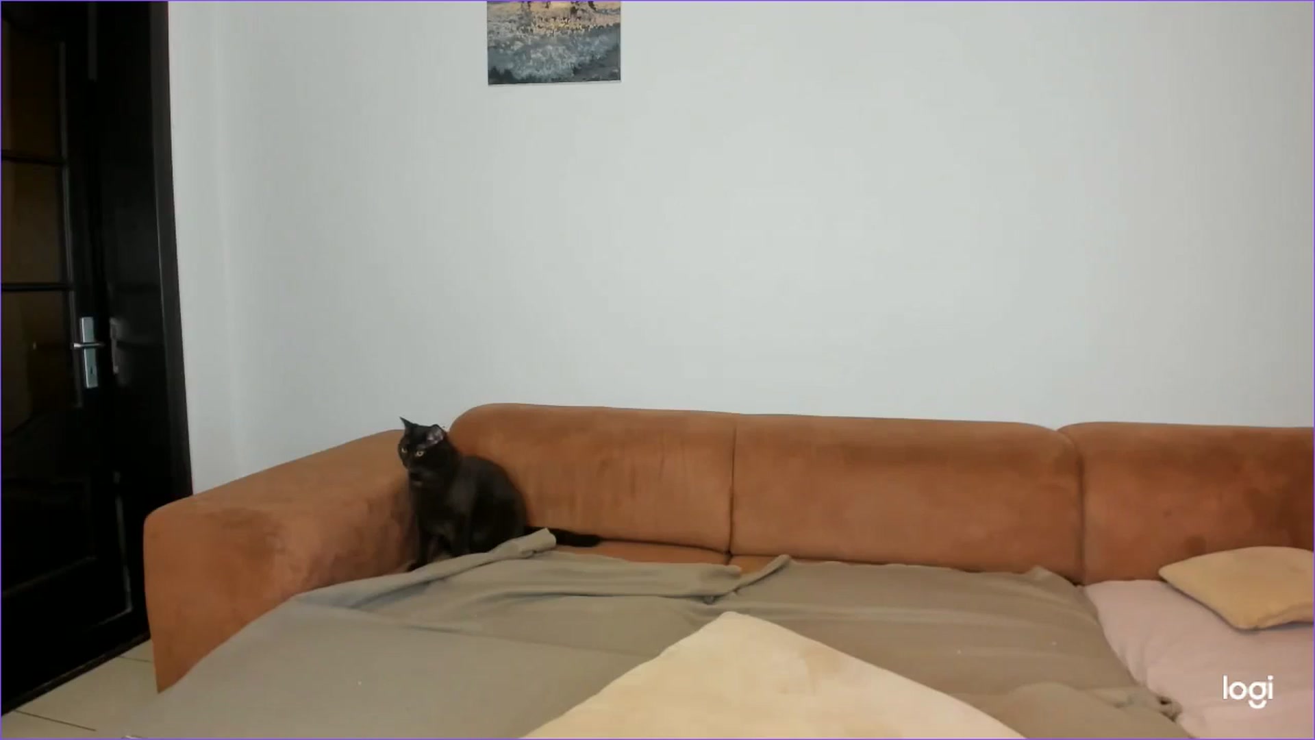 Gallery image thumbnail from StefaniNell's myfreecams stream on, 09/27/2025, 09:39 image 15 of 20