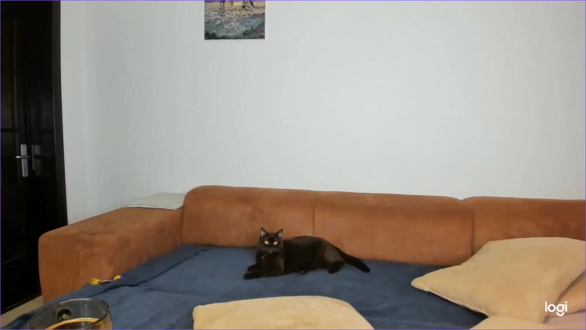 Gallery image thumbnail from StefaniNell's myfreecams stream on, 11/17/2025, 14:47 image 3 of 20