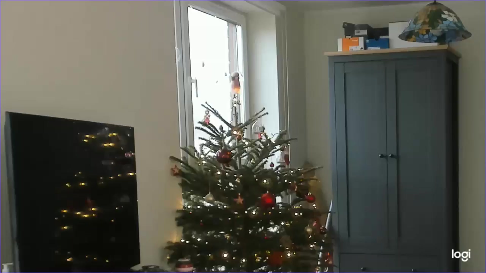 Gallery image thumbnail from StefaniNell's myfreecams stream on, 12/27/2025, 10:41 image 12 of 20