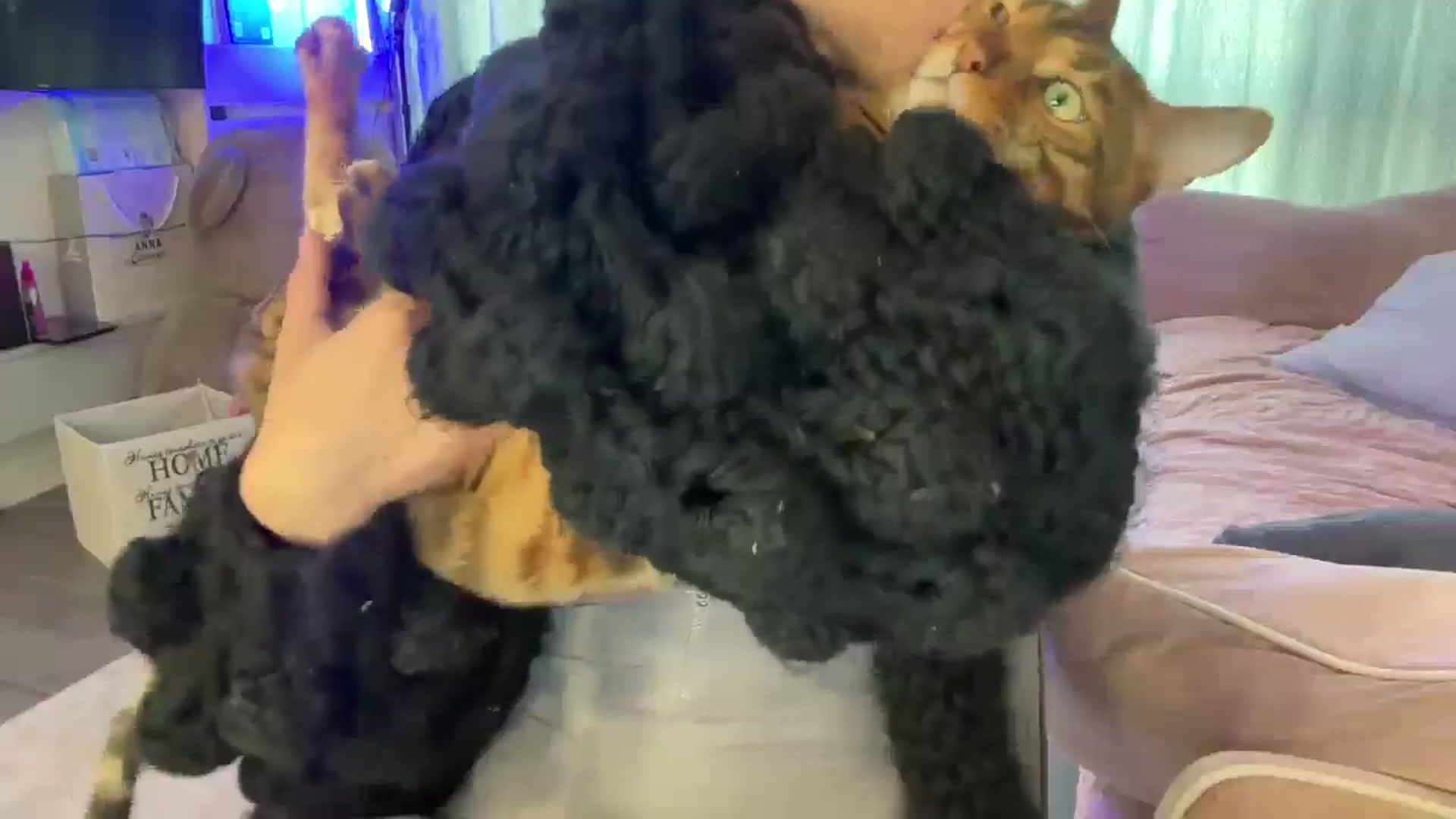 Gallery image thumbnail from StellaHills's myfreecams stream on, 03/09/2025, 11:57 image 8 of 20